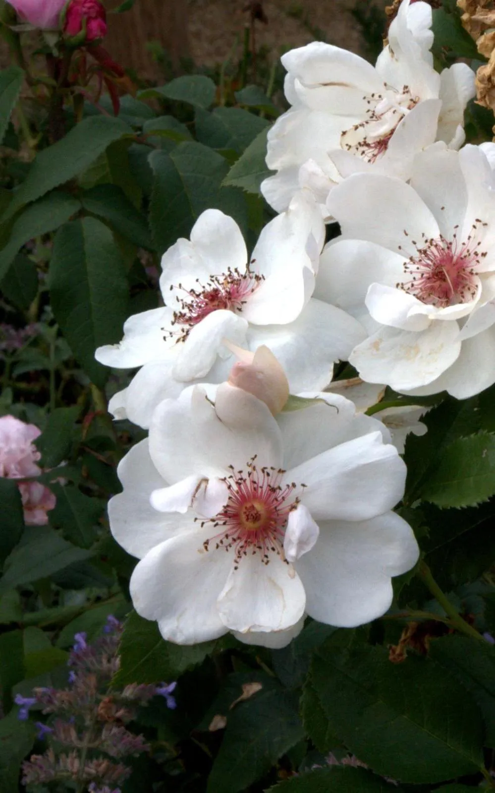 Property building in Hotel Vorsen