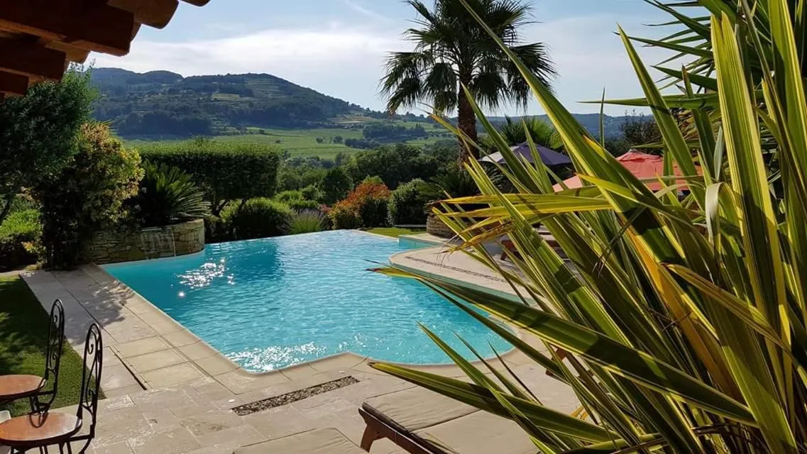 la cigale sous l'olivier