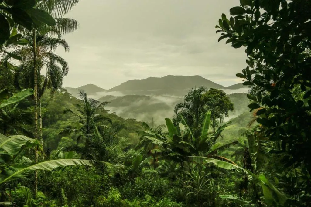 Mountain view in Eco Hostel Organic Life