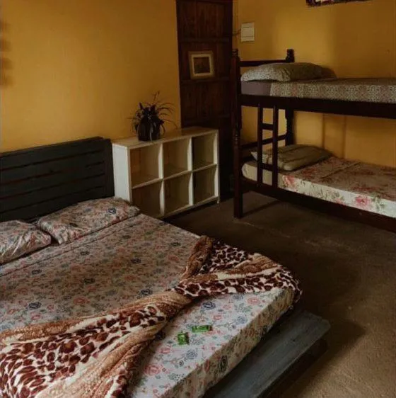 Decorative detail, Bed in Eco Hostel Organic Life