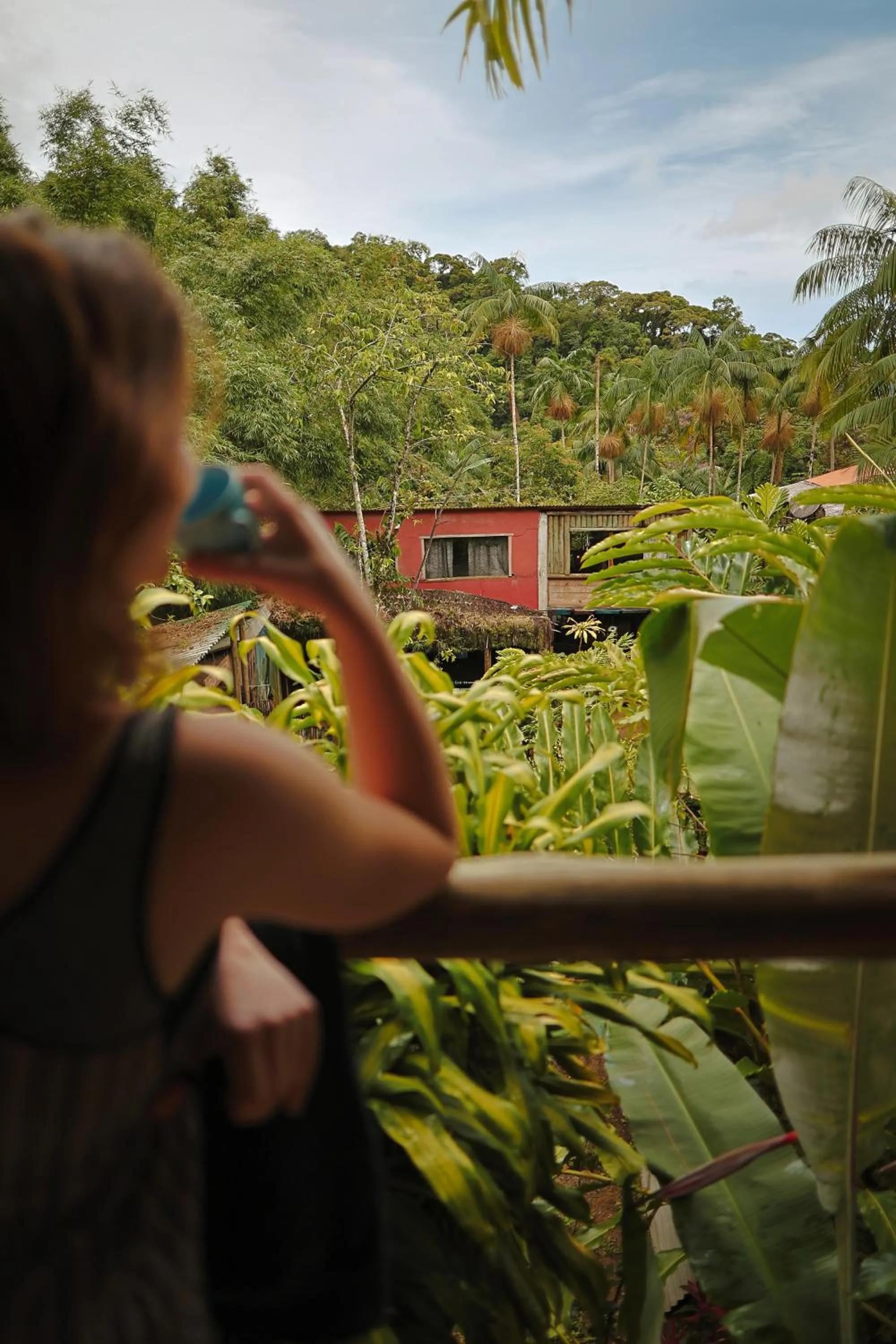 Eco Hostel Organic Life