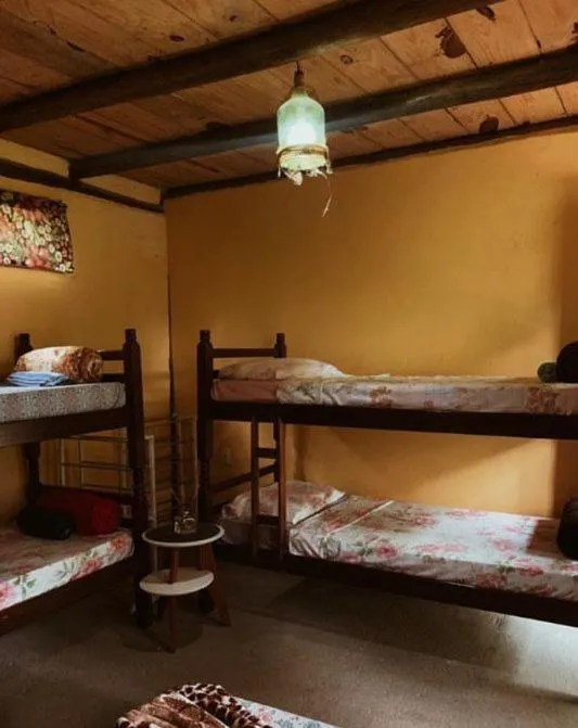 Photo of the whole room, Bed in Eco Hostel Organic Life