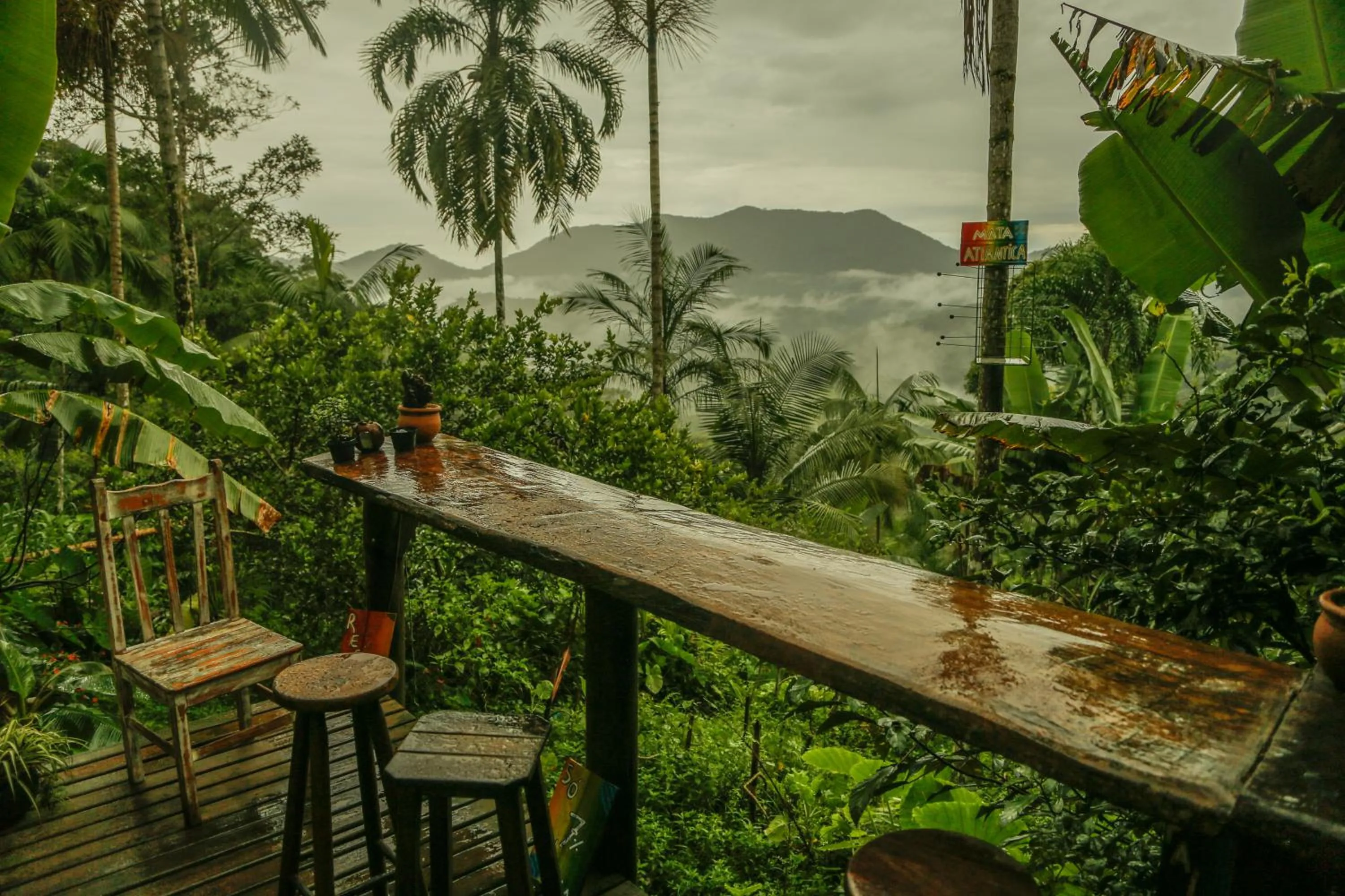 View (from property/room) in Eco Hostel Organic Life