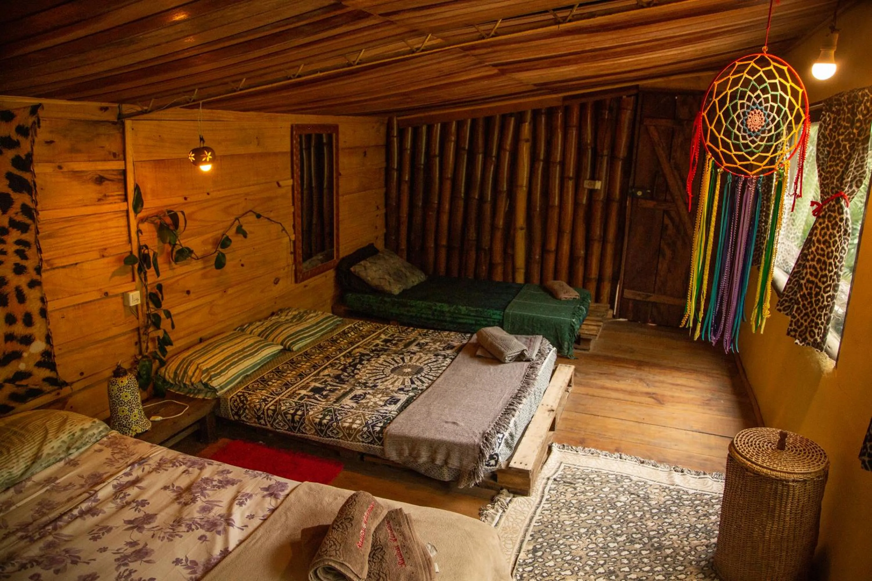 View (from property/room), Bed in Eco Hostel Organic Life