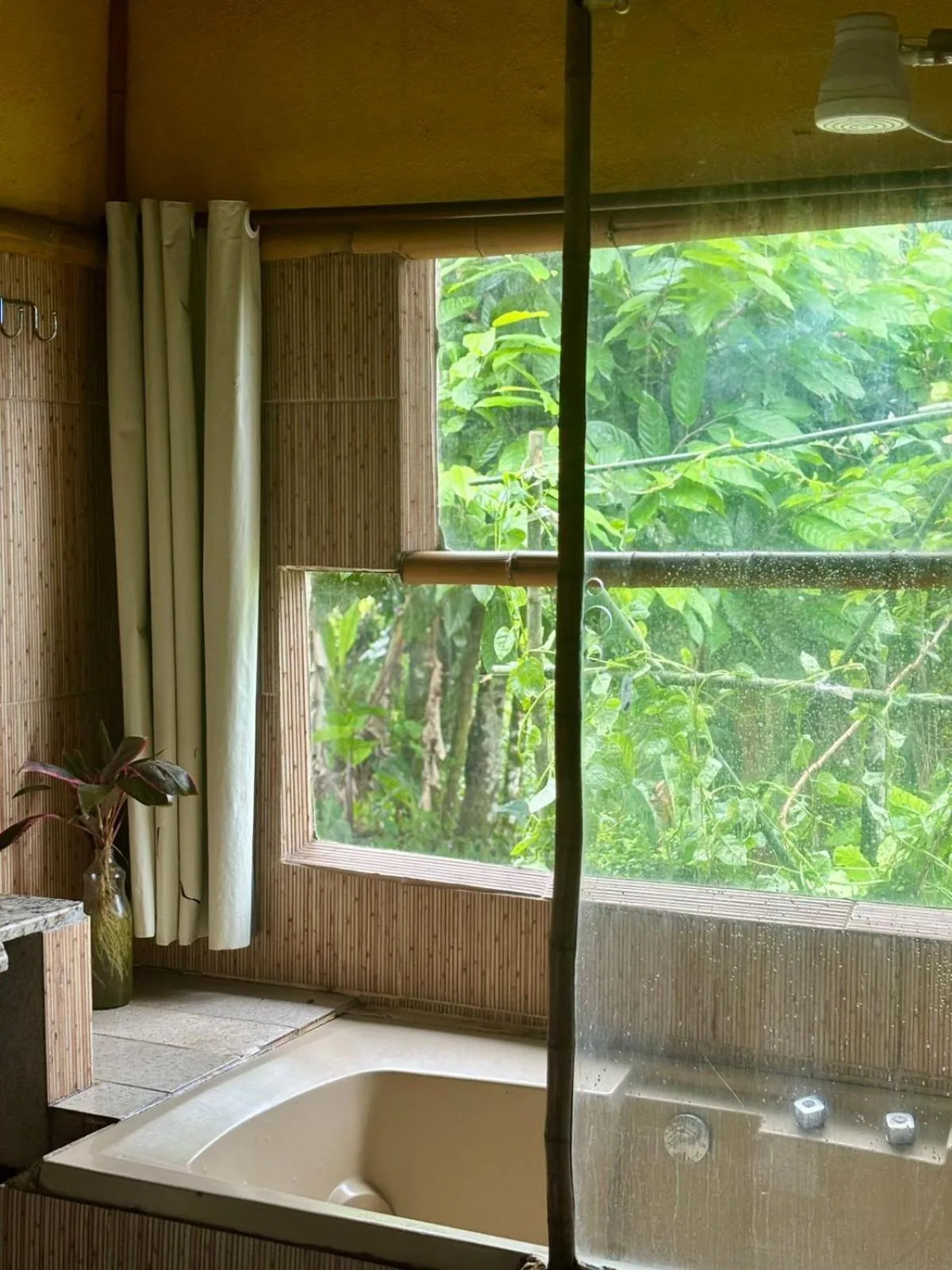 Eco Hostel Organic Life