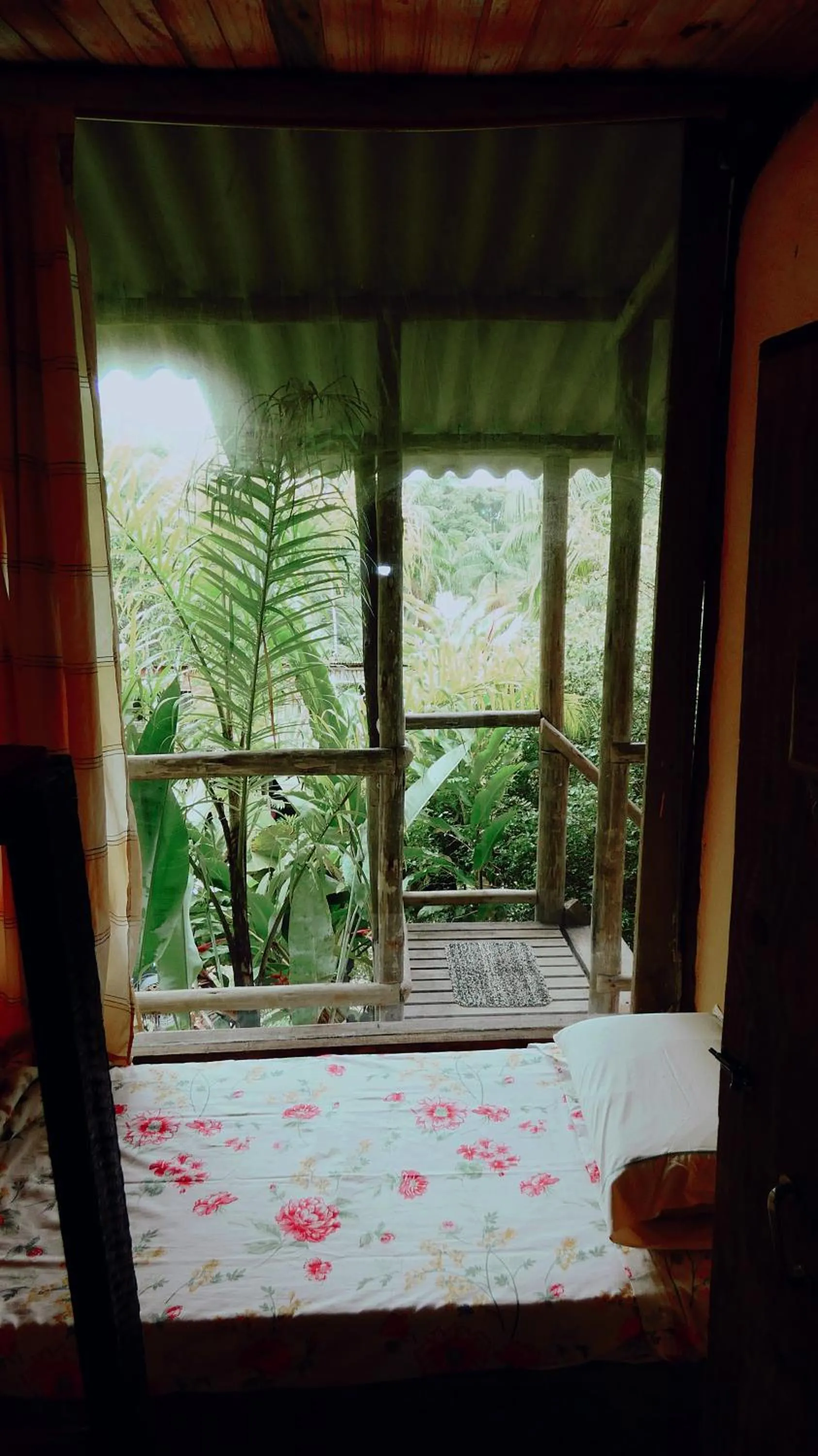 View (from property/room) in Eco Hostel Organic Life