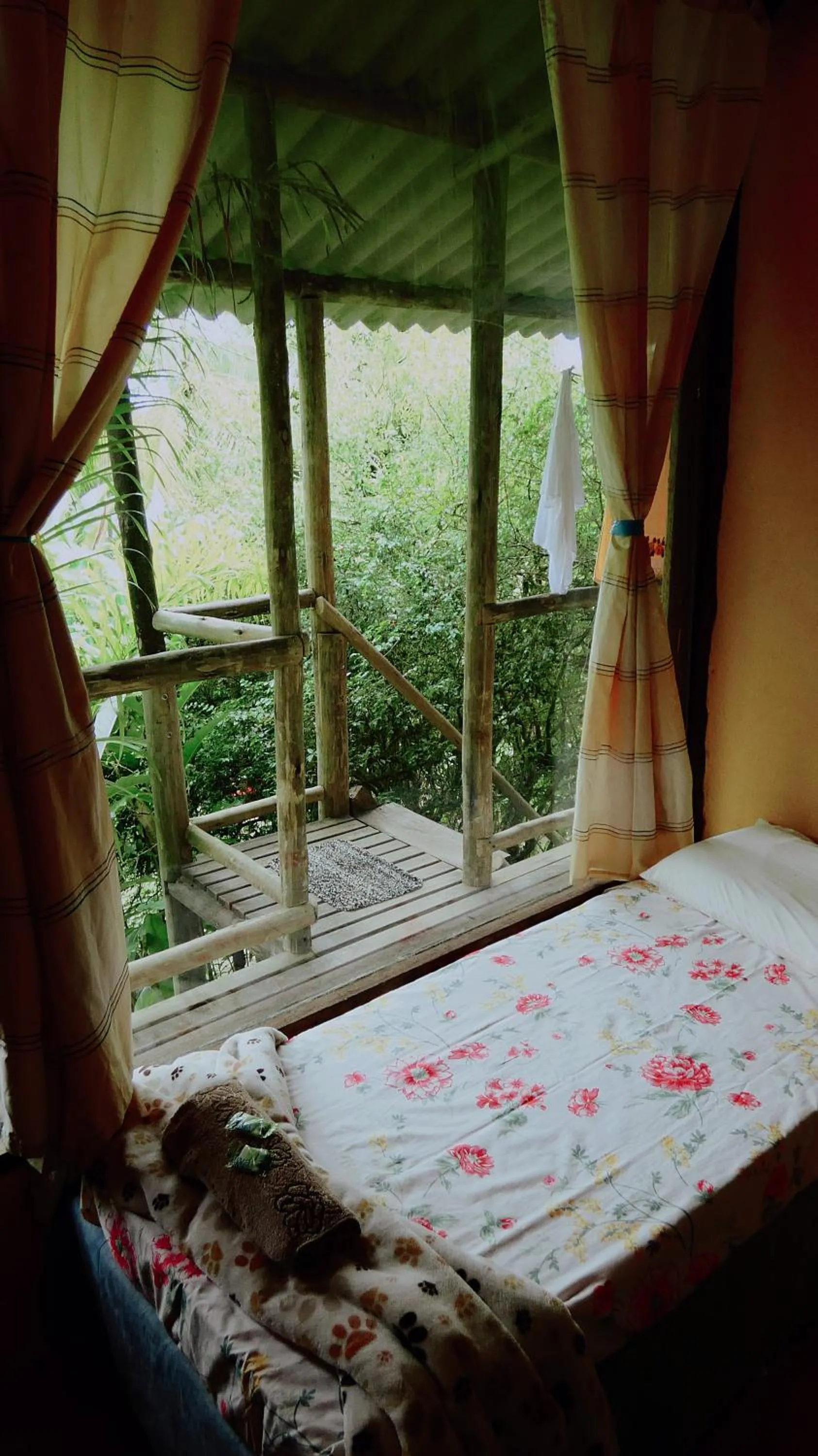 Bed in Eco Hostel Organic Life