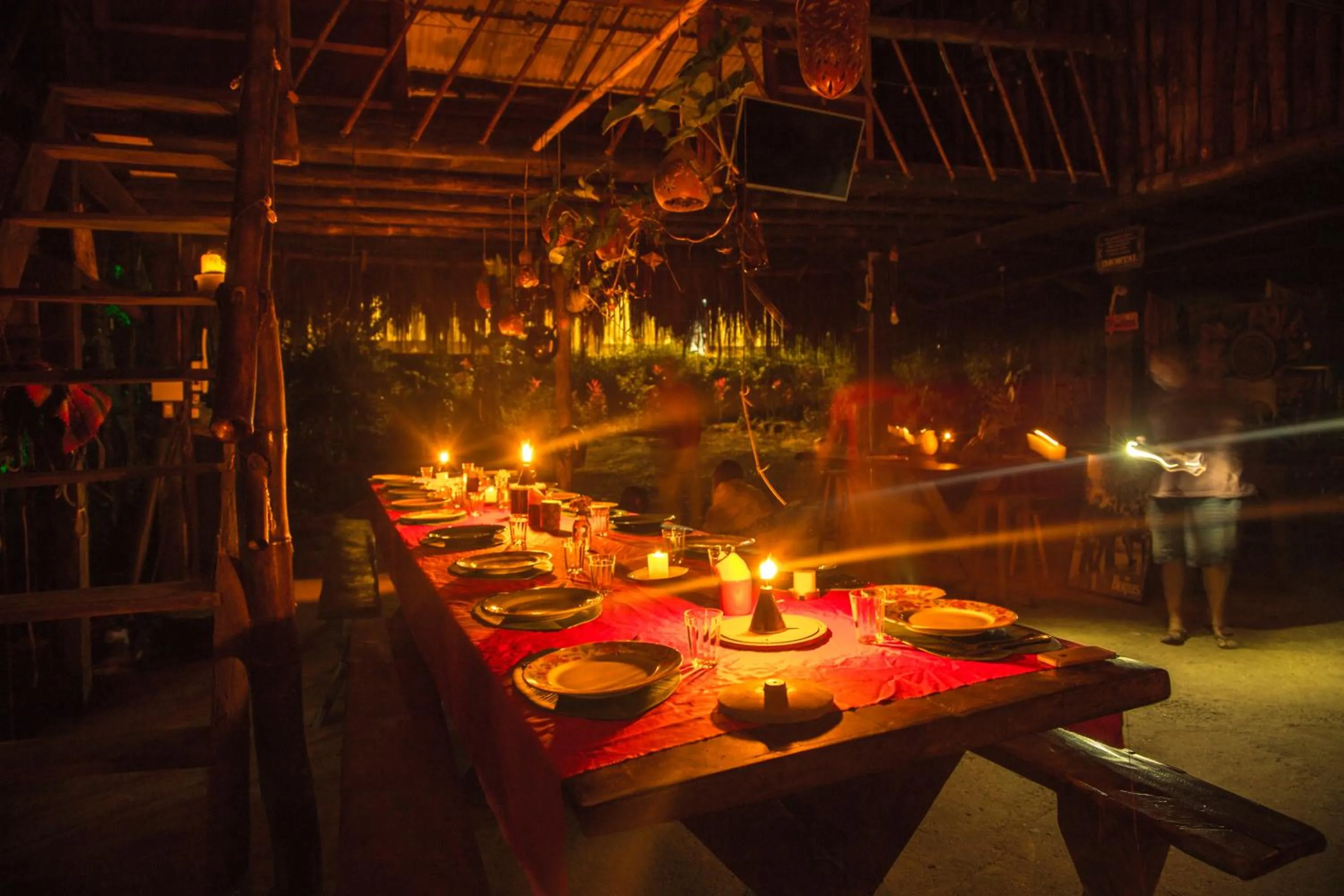 Restaurant/places to eat in Eco Hostel Organic Life