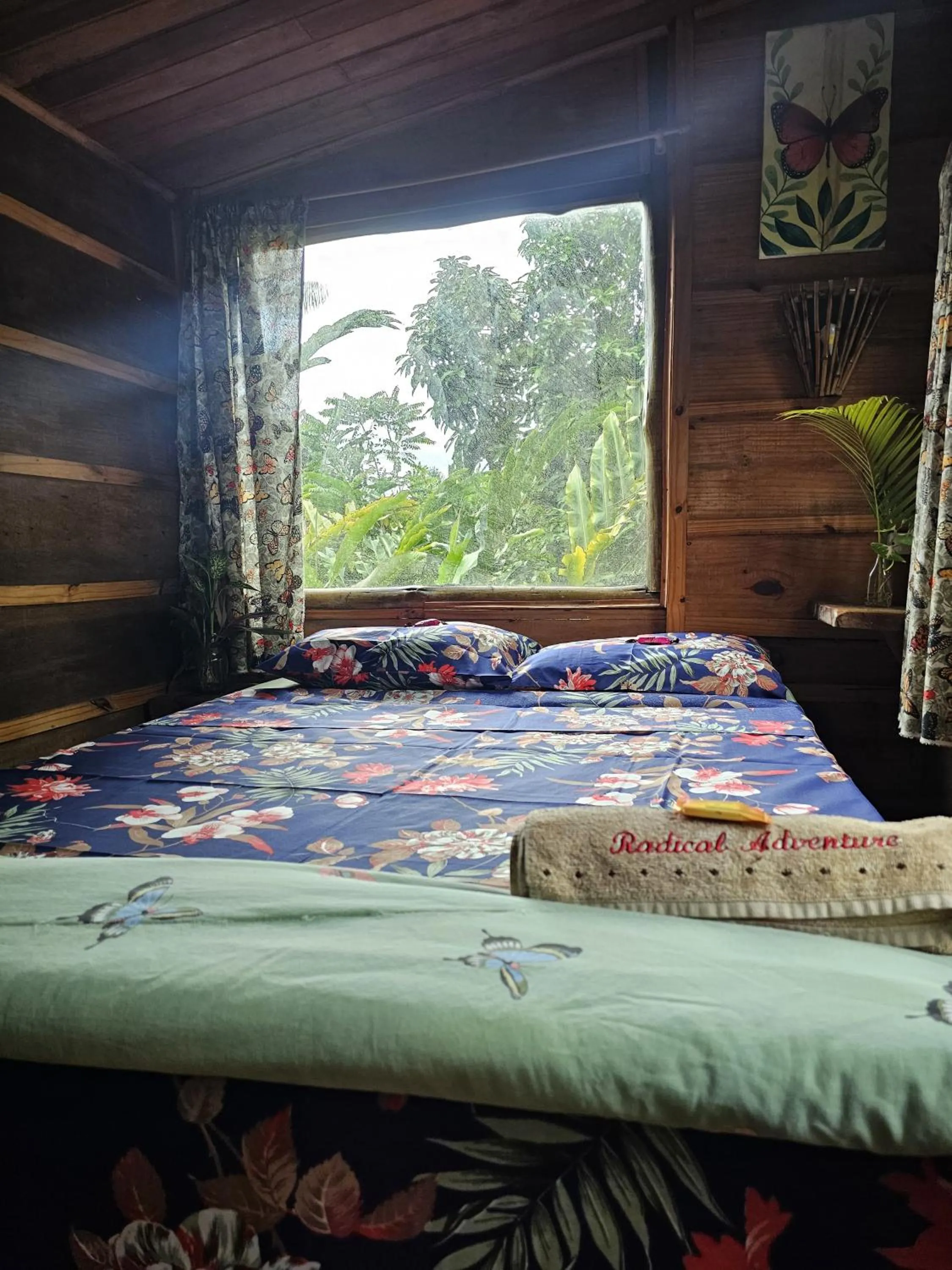Bed in Eco Hostel Organic Life