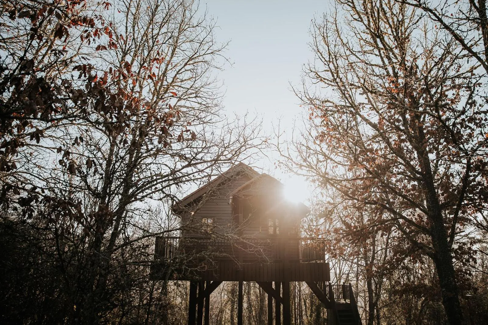 One-Bedroom Chalet in Cabane Rouge-Gorge