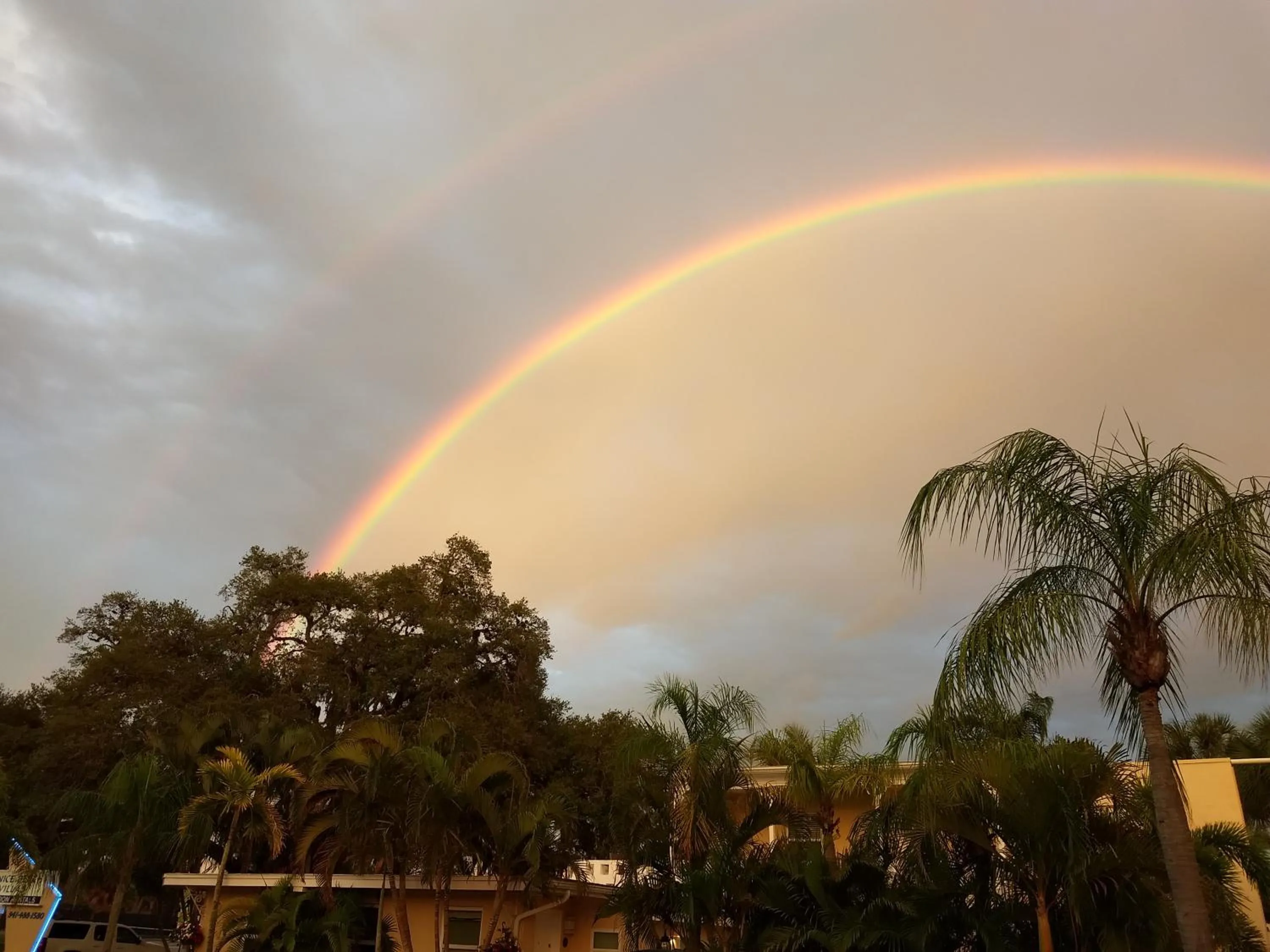 Natural landscape in Venice Beach Villas