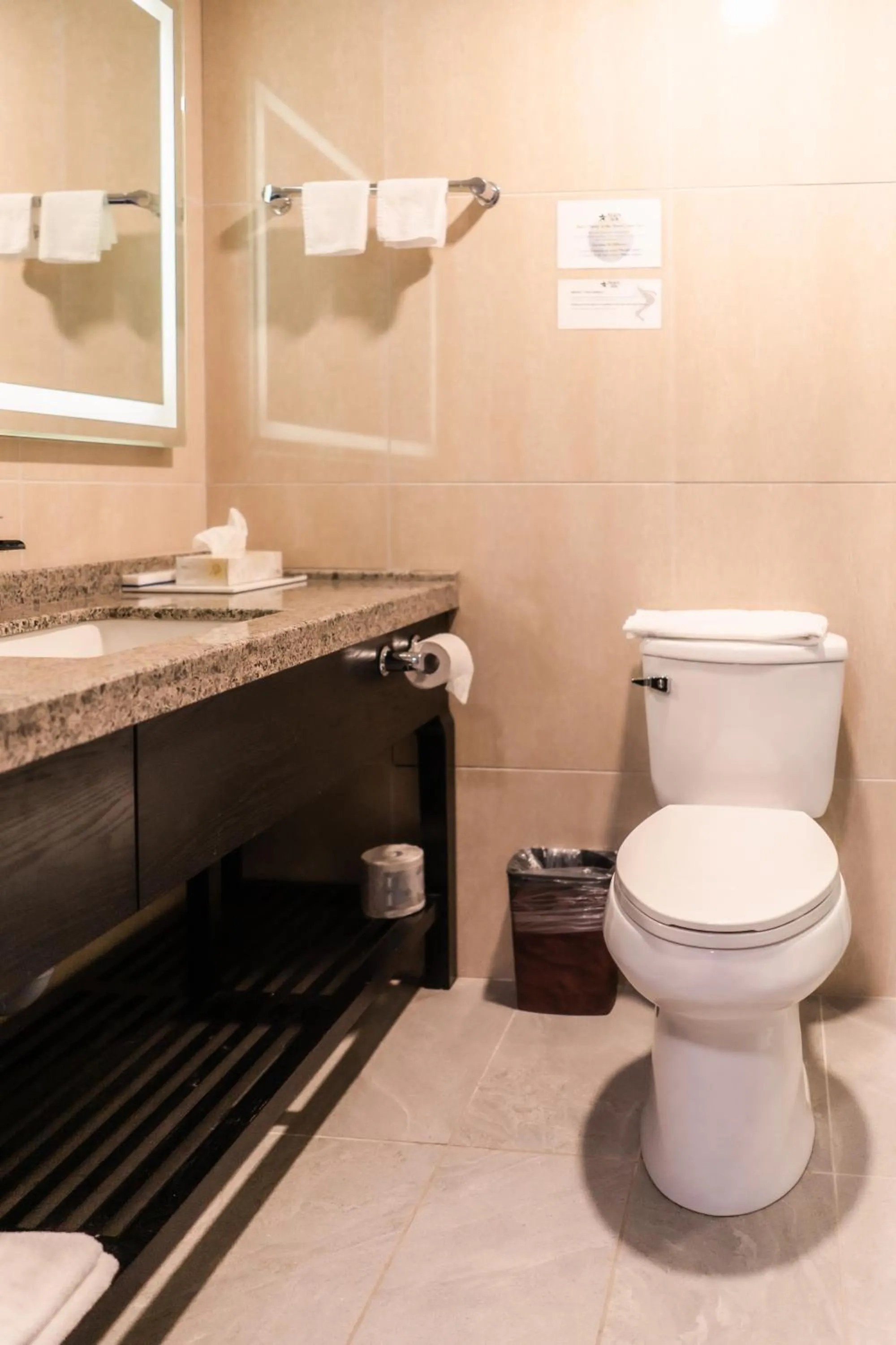 Toilet, Bathroom in Stars Inn