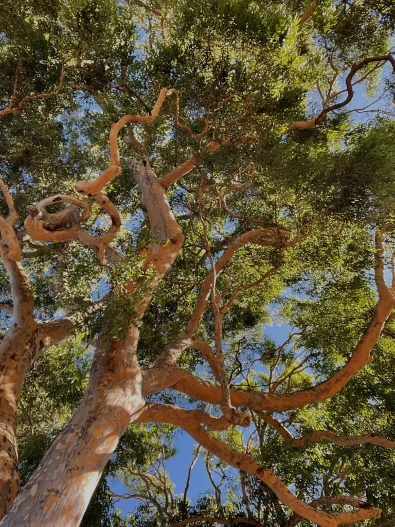 The Highlander Motel - 24HR Check In