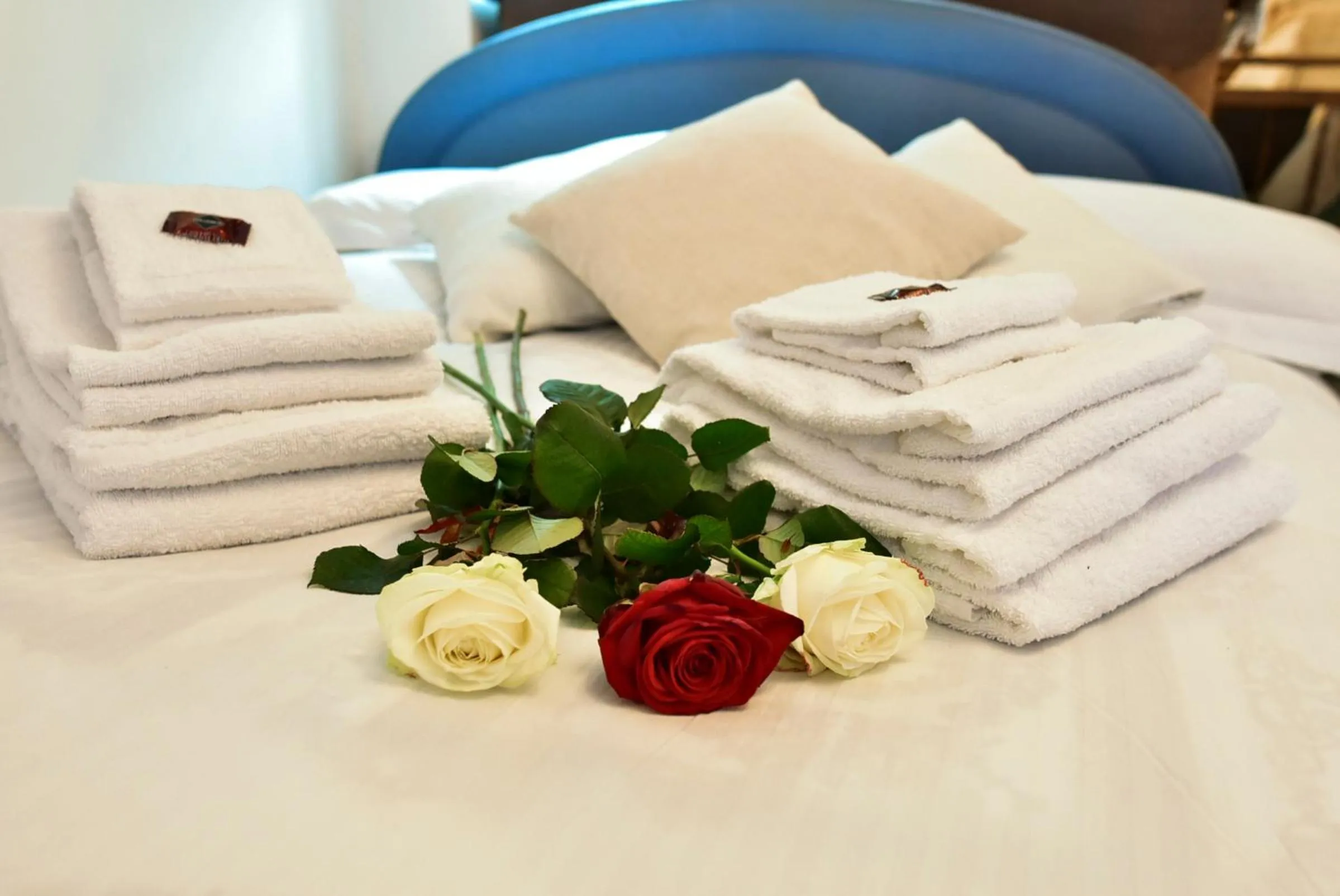 Bed in Loft Pantheon