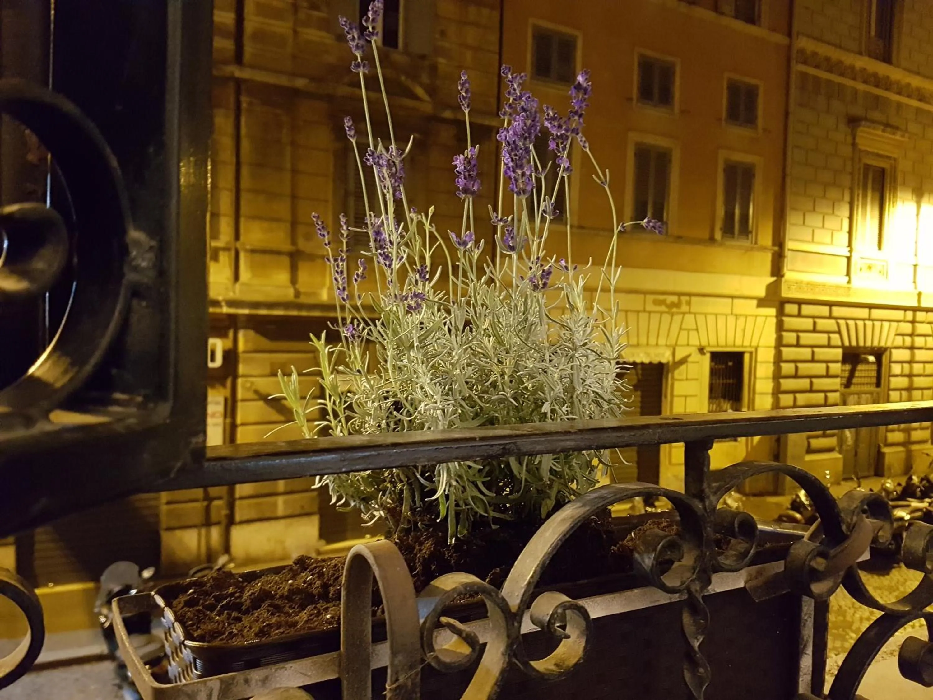 Facade/entrance in Loft Pantheon