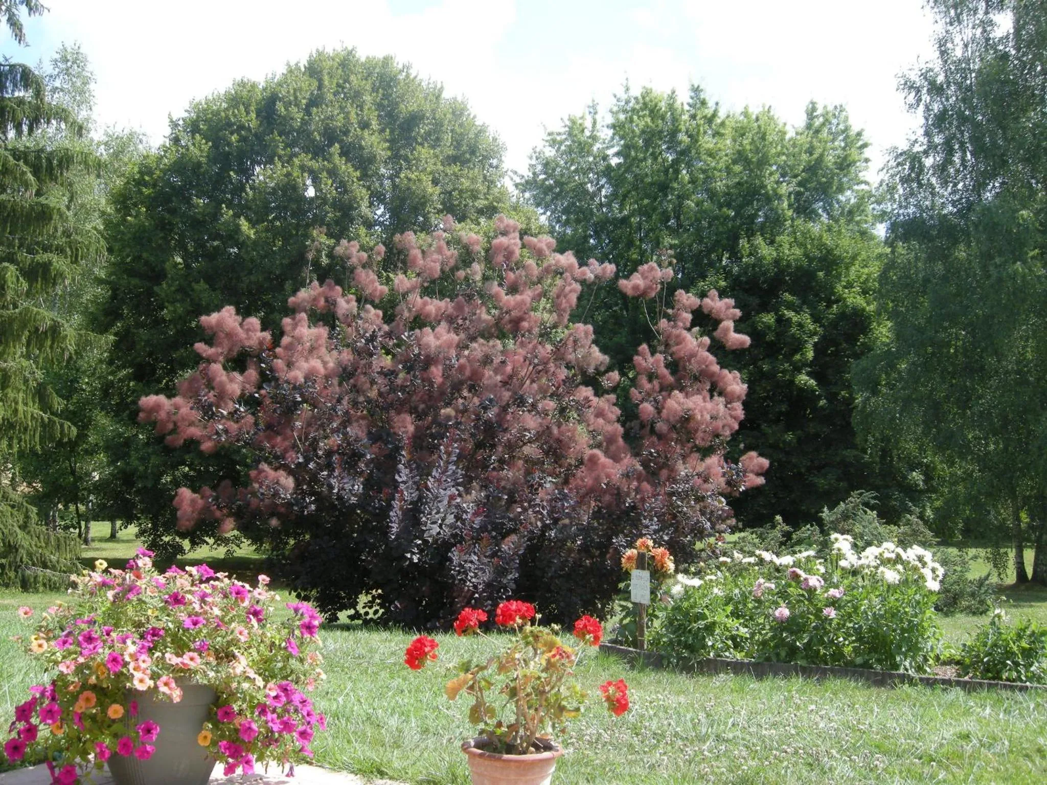 Garden view in Le Grand Pré