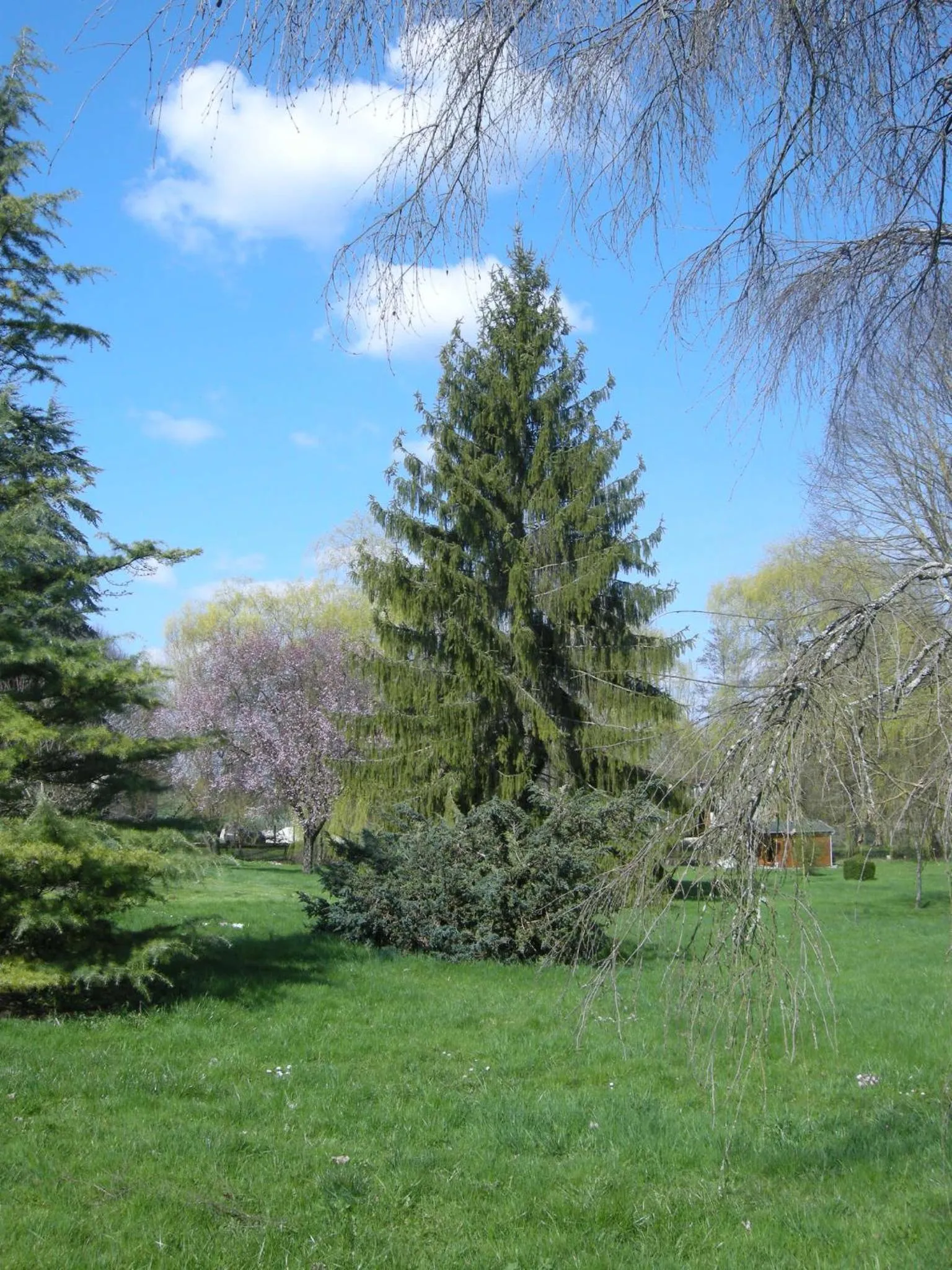 Garden view in Le Grand Pré