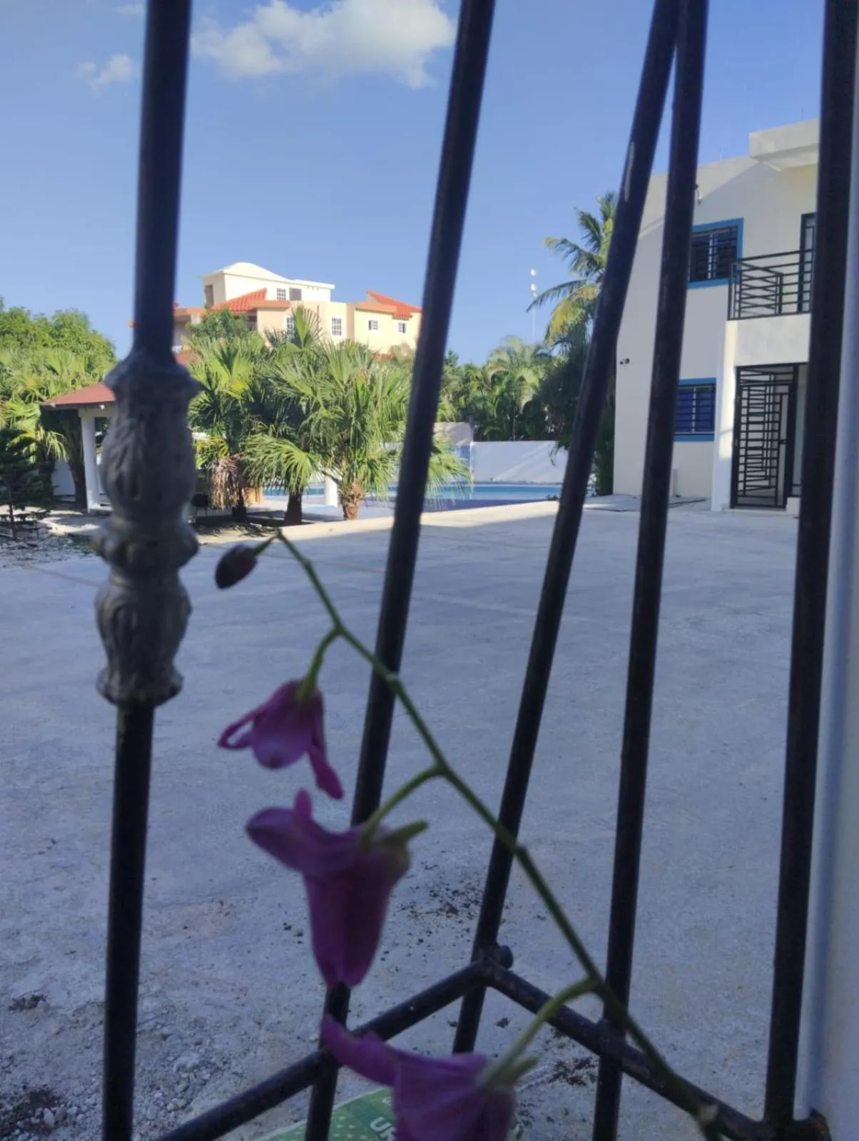 Patio in Nely y Pietro share apartment