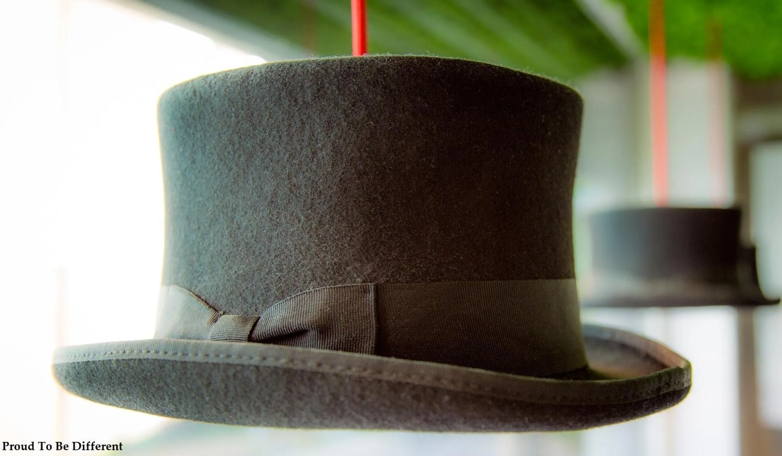 Decorative detail in No.10 Preston