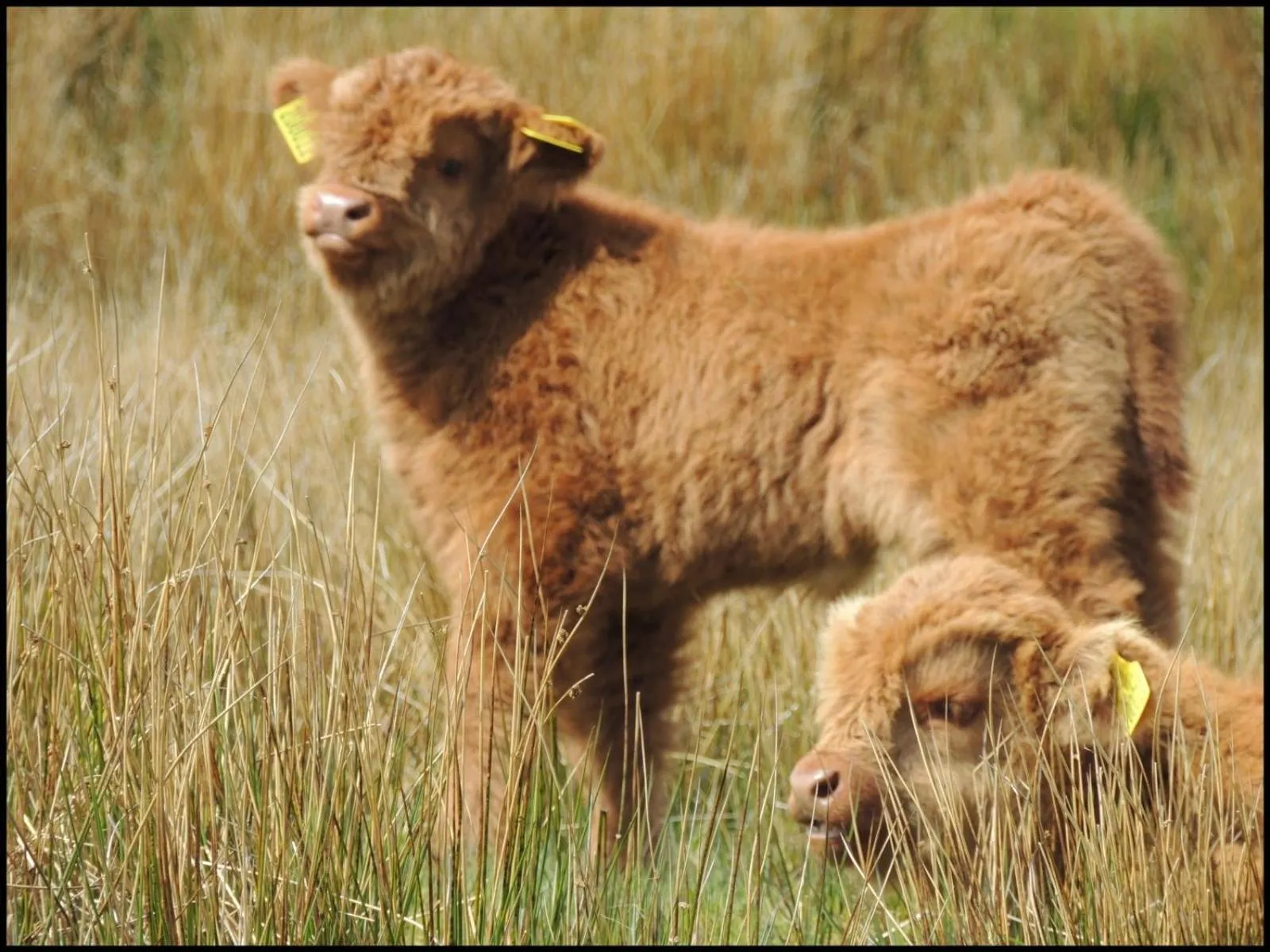 Garrison Farm with Hot Tub