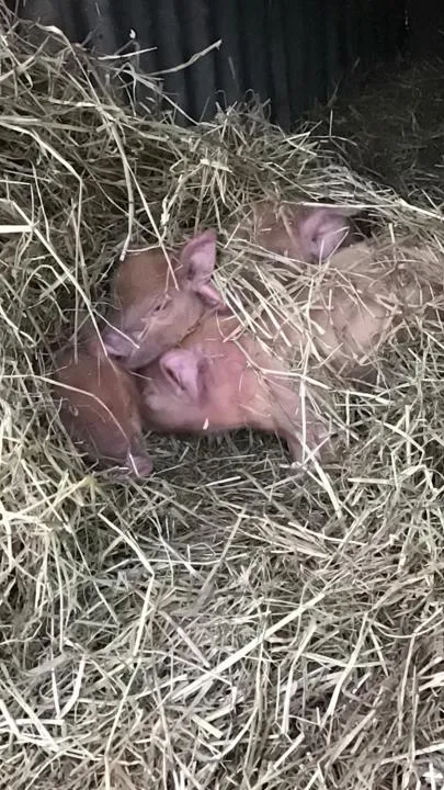 Garrison Farm with Hot Tub