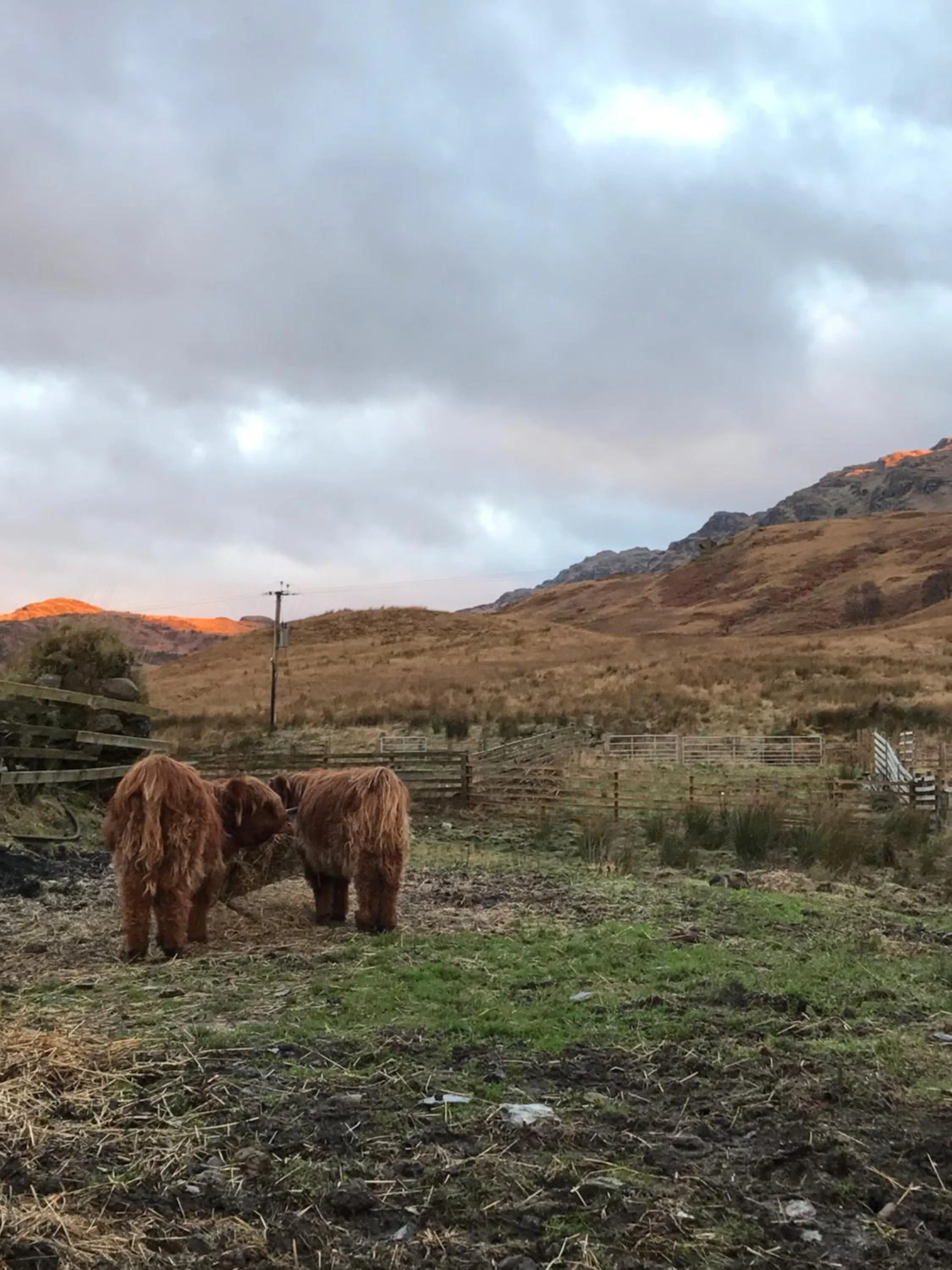 Pets in Garrison Farm with Hot Tub