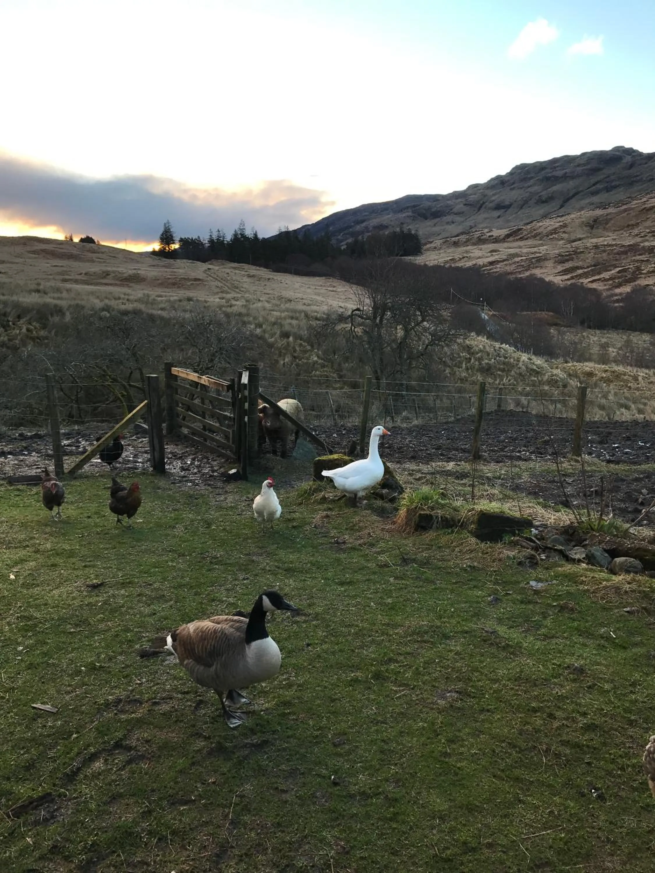 Pets in Garrison Farm with Hot Tub