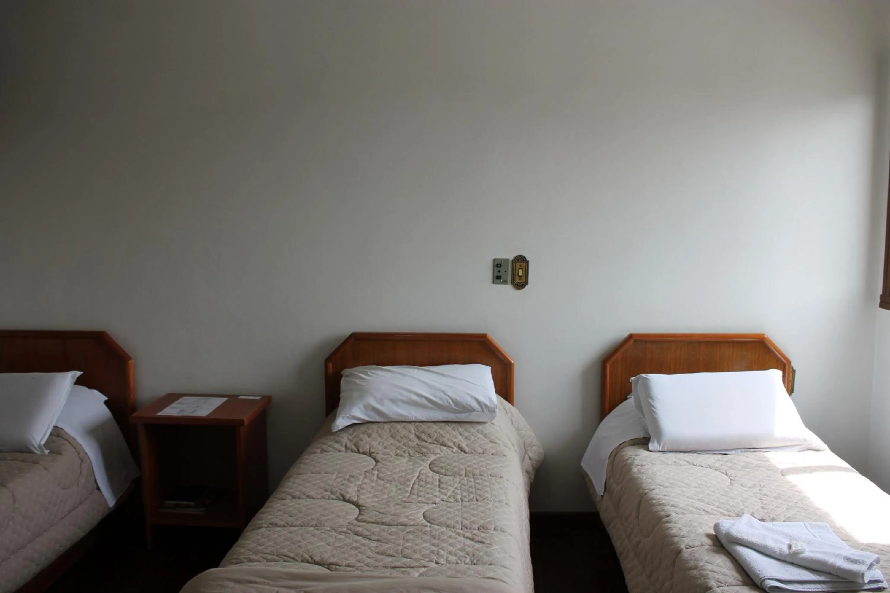 Luxury Triple Room - single occupancy in Hotel Somensi