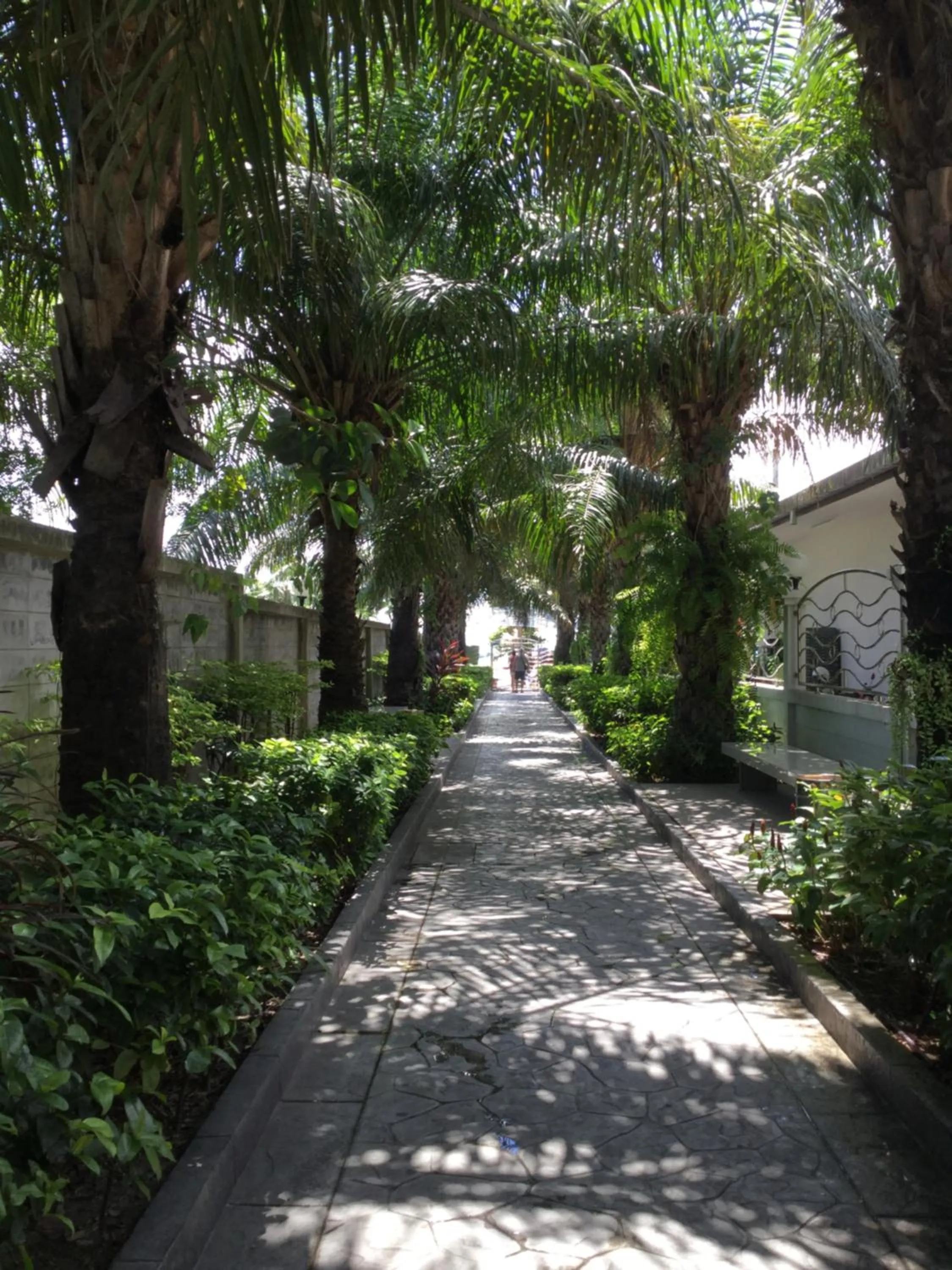 Natural landscape in View Talay 6 by Pat 42