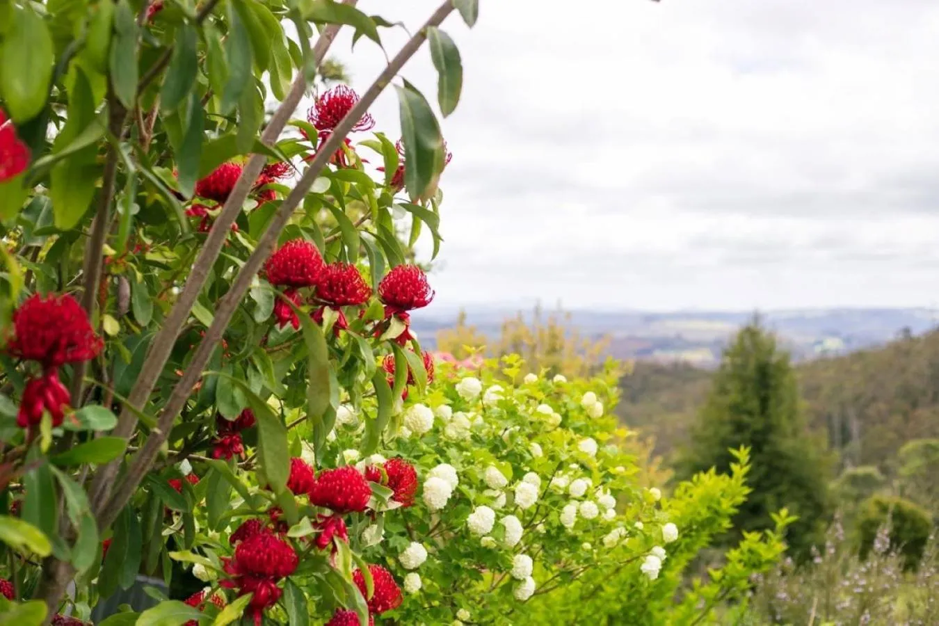 Garden in 3 Hills at The Good Place