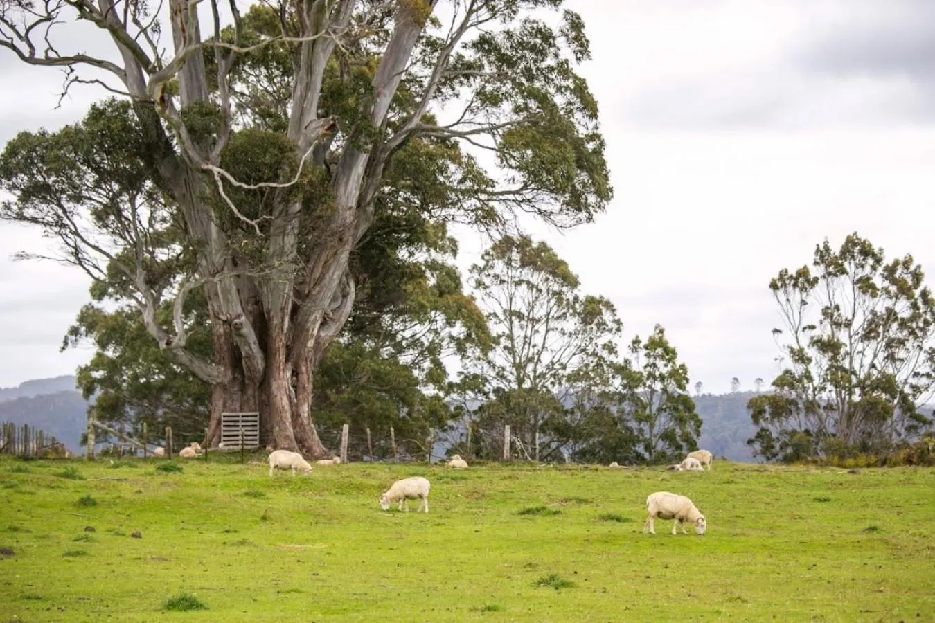 Natural landscape in 3 Hills at The Good Place
