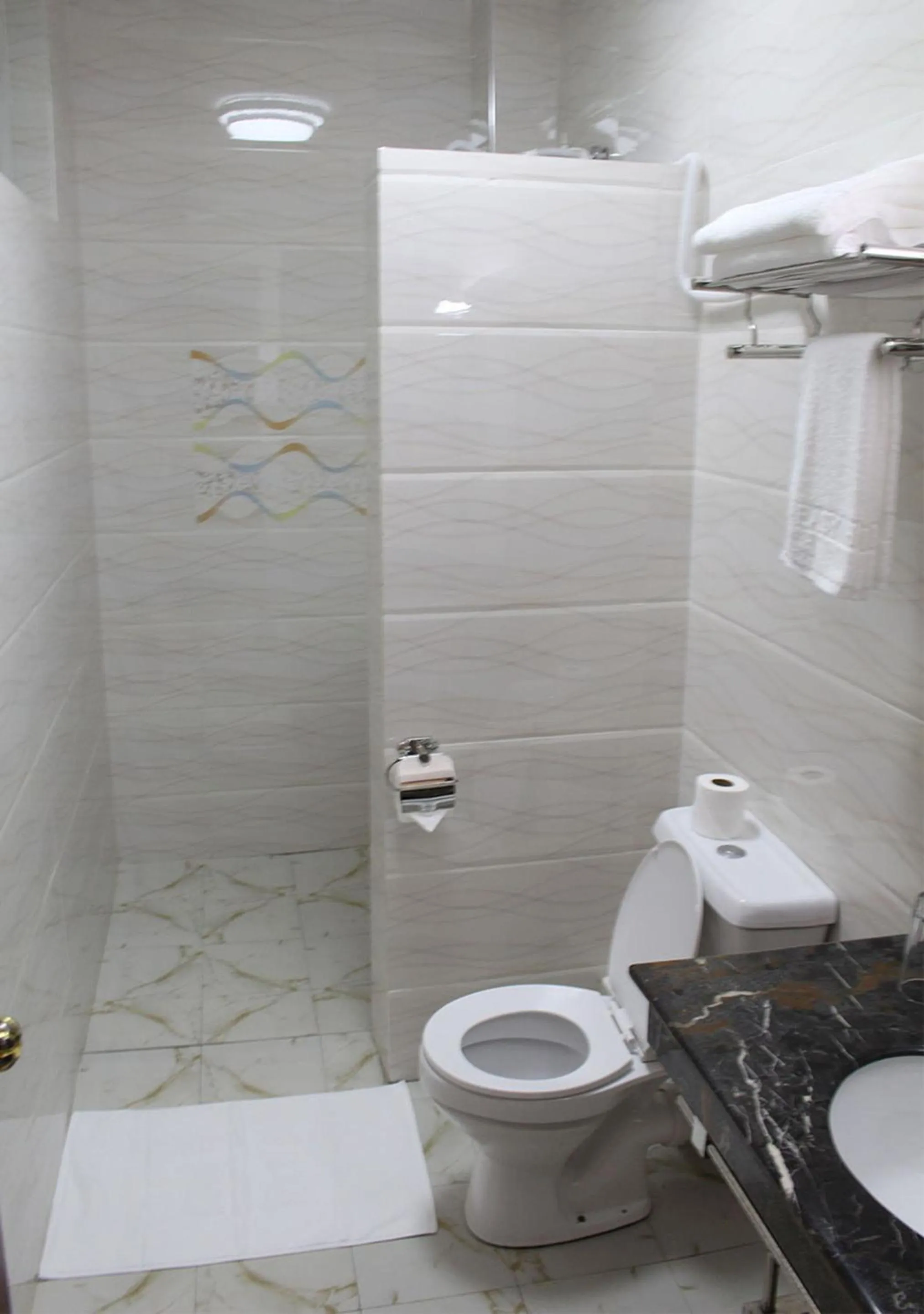 Shower in Easy Hotel Kenya