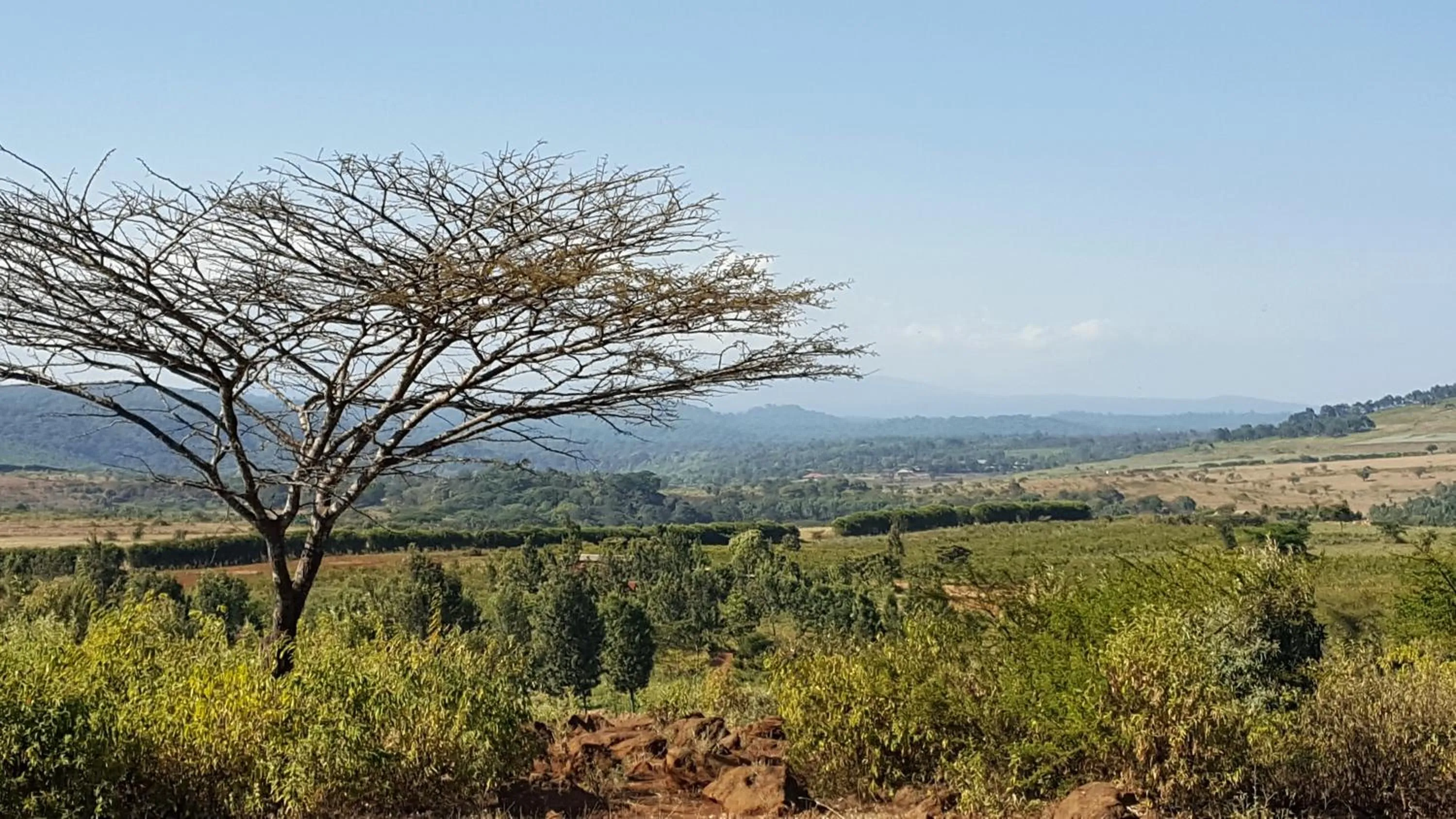 Neighbourhood in Tanzanice Farm Lodge