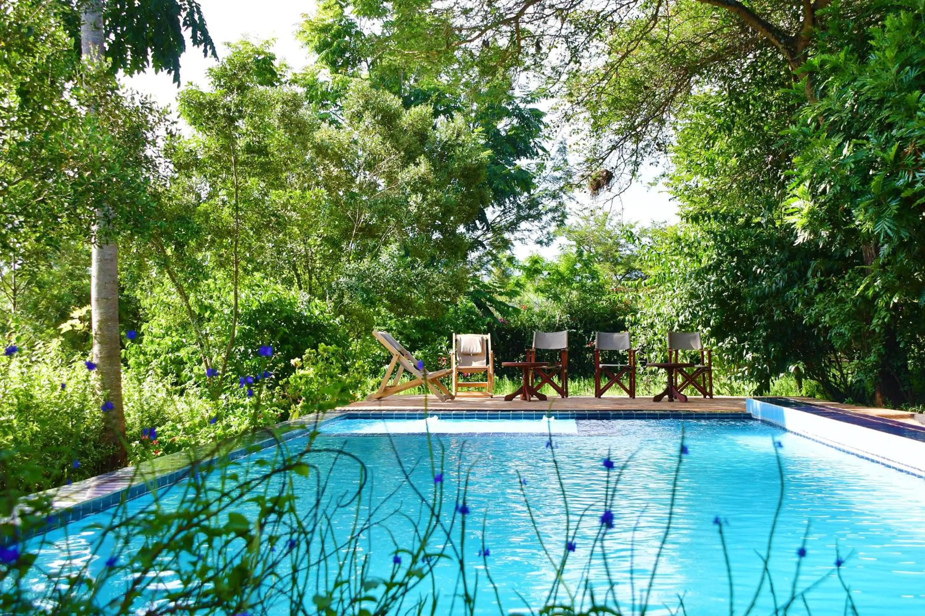 Swimming pool in Tanzanice Farm Lodge