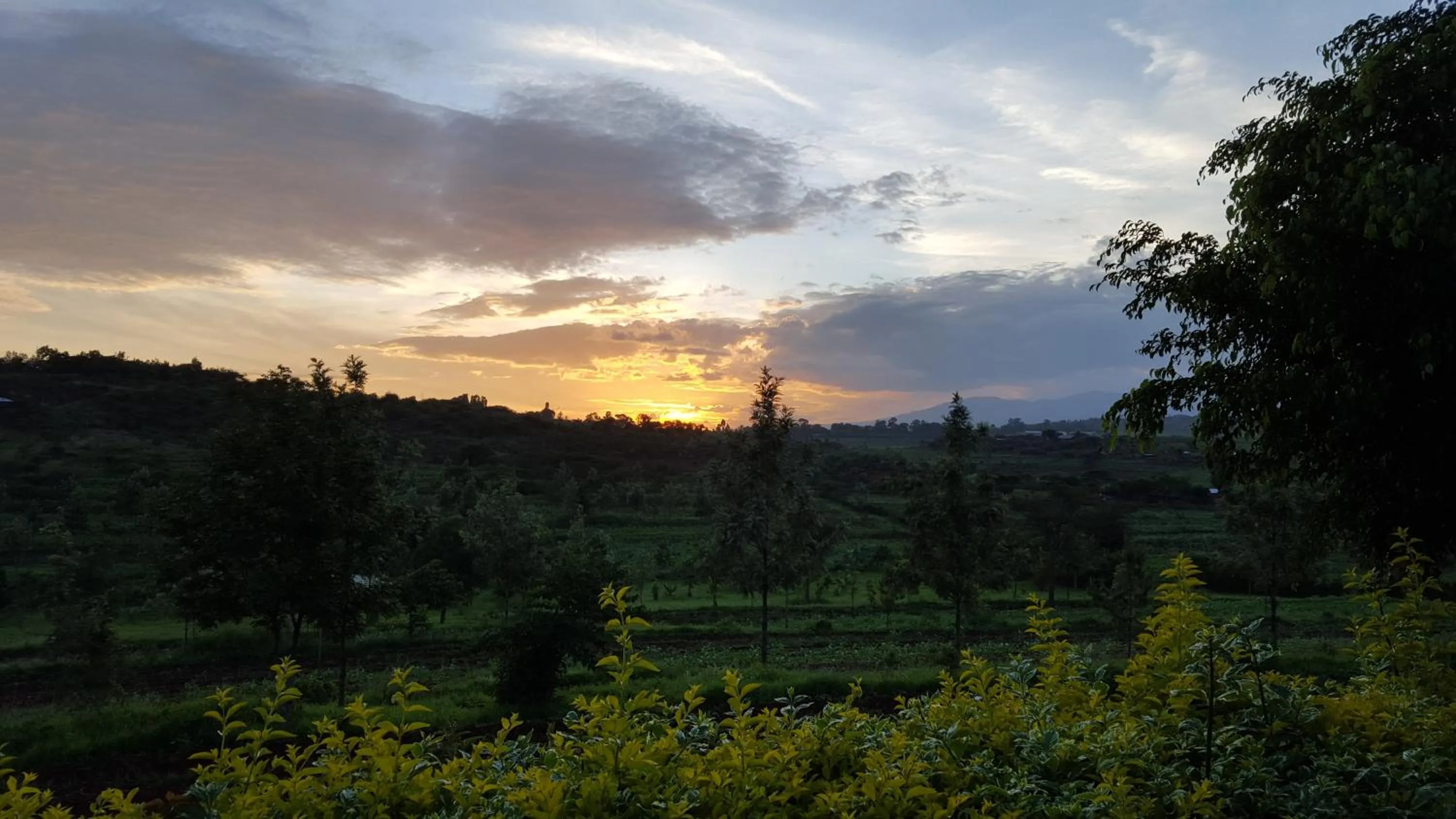 Garden view in Tanzanice Farm Lodge
