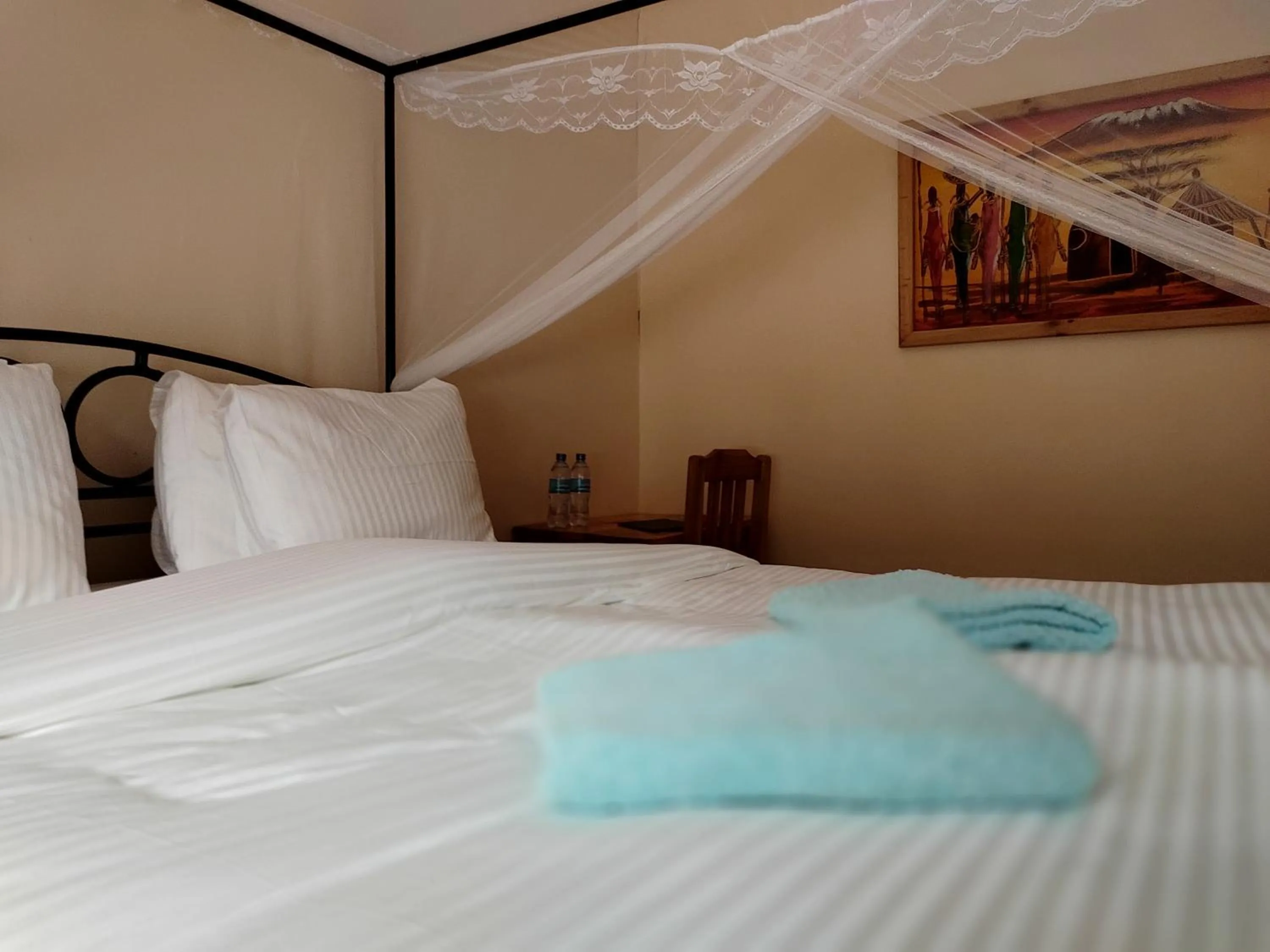 Bed in Tanzanice Farm Lodge