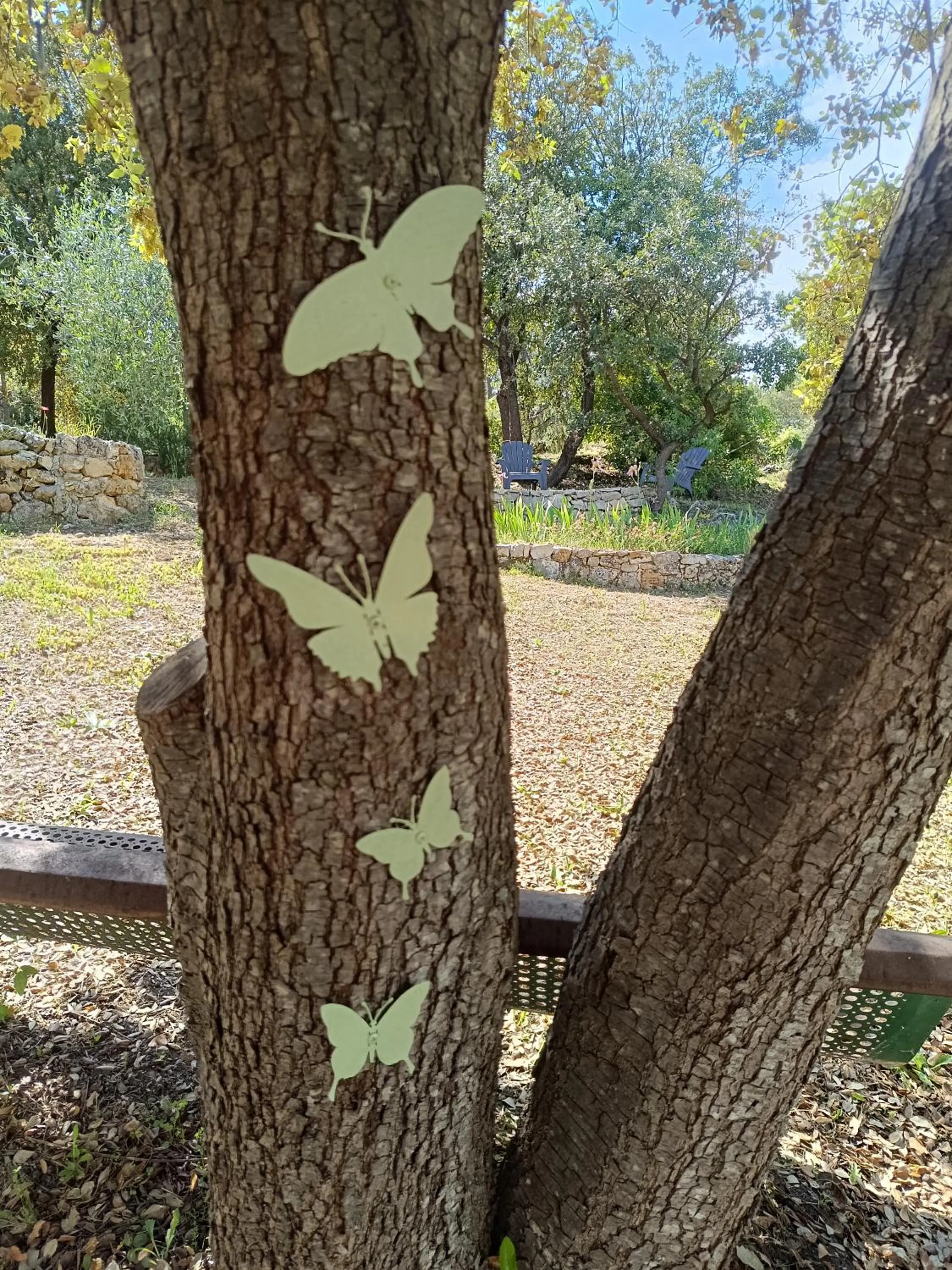 Campagne de la source St Martin B&B