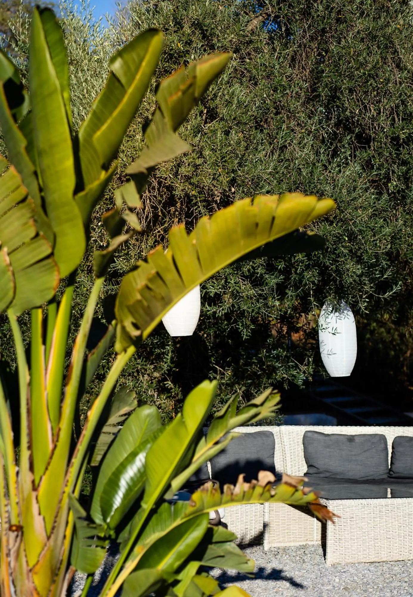 Garden view in Campo Agave Luxury Tents