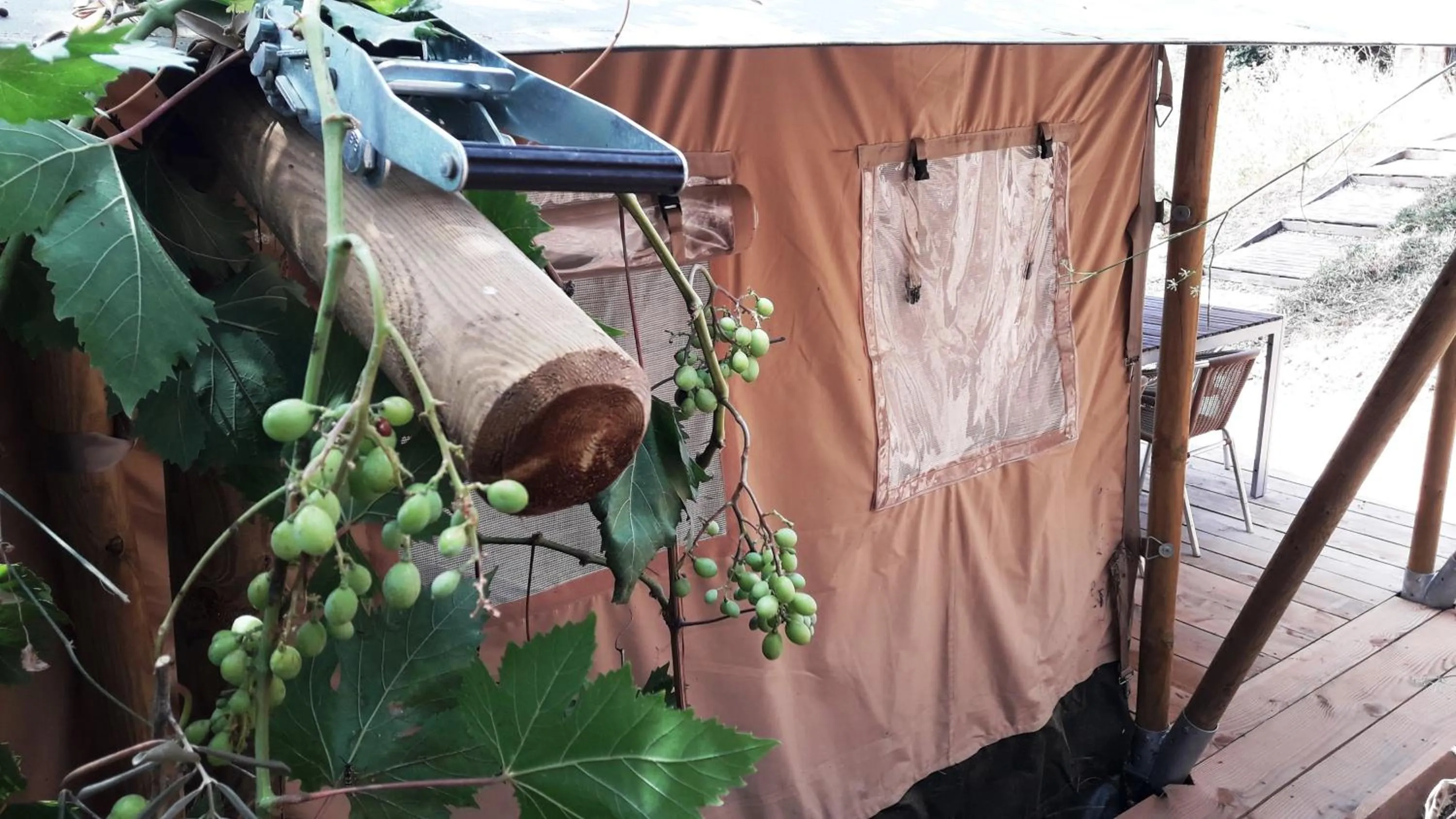 Decorative detail in Campo Agave Luxury Tents