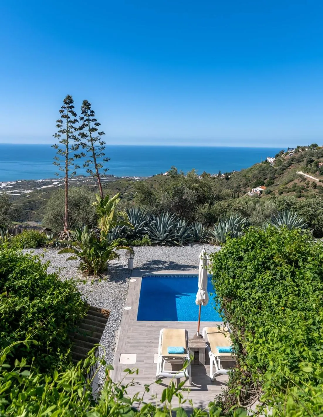 Pool view in Campo Agave Luxury Tents