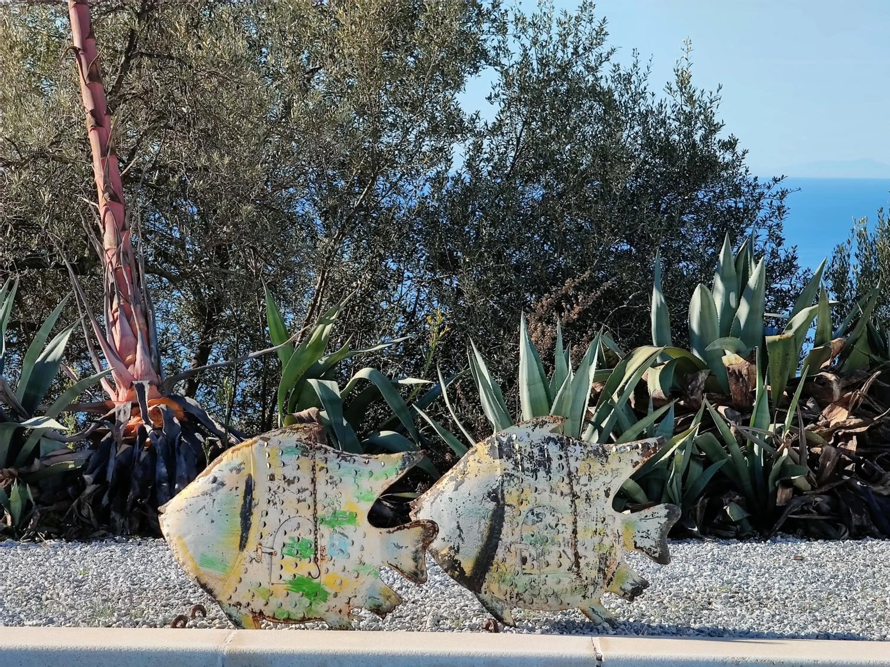 Garden in Campo Agave Luxury Tents