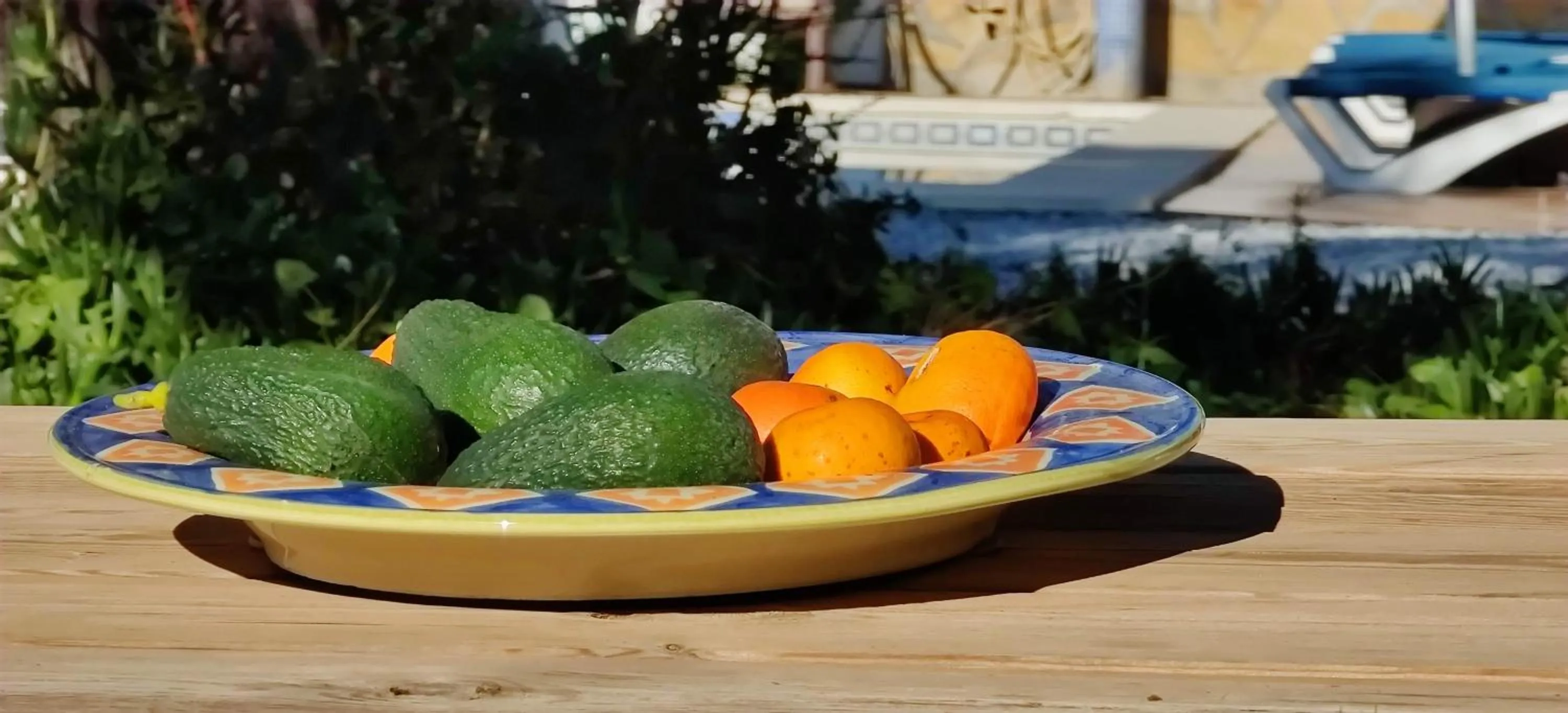 Food in Campo Agave Luxury Tents