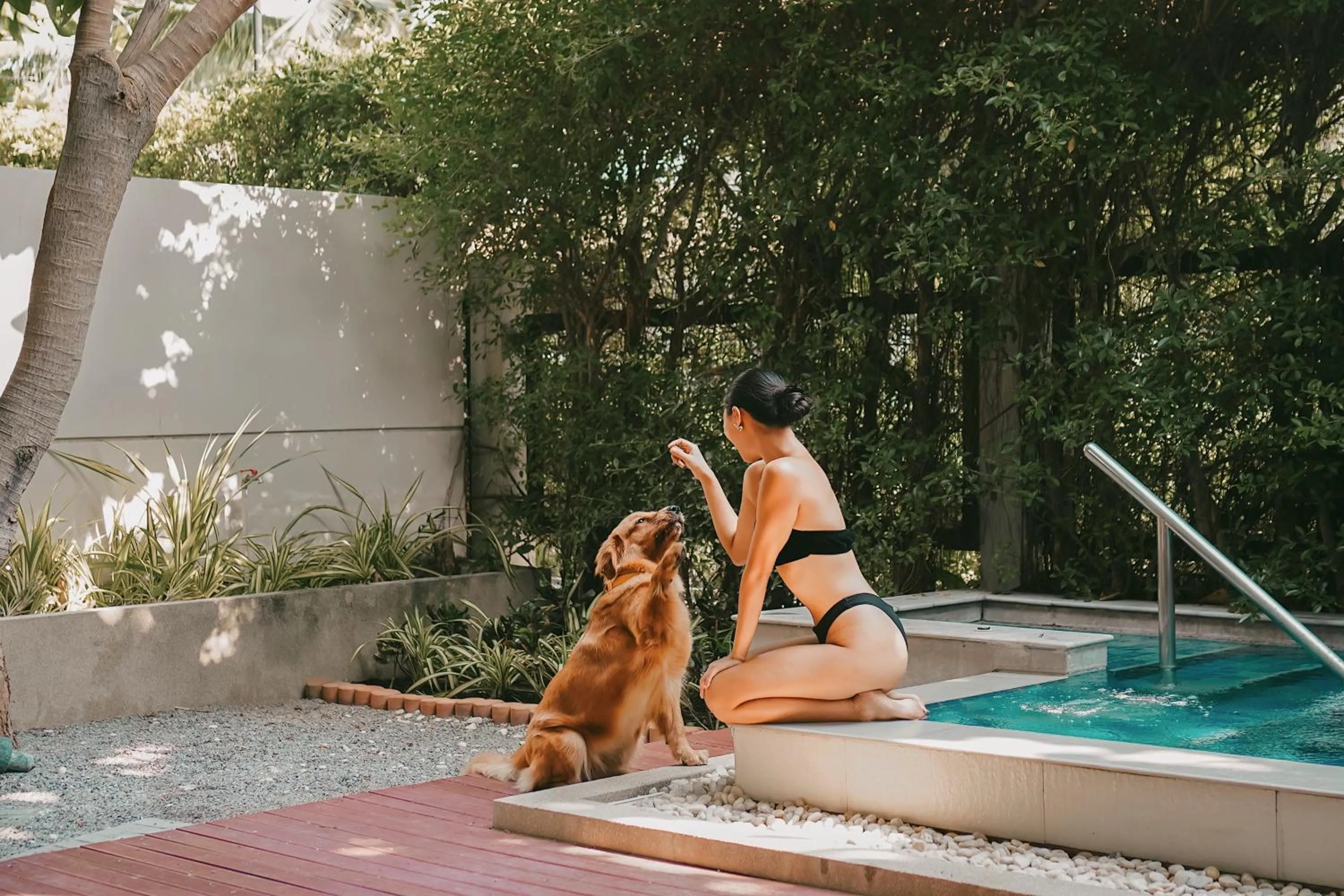 pet friendly in Avani+ Hua Hin Resort