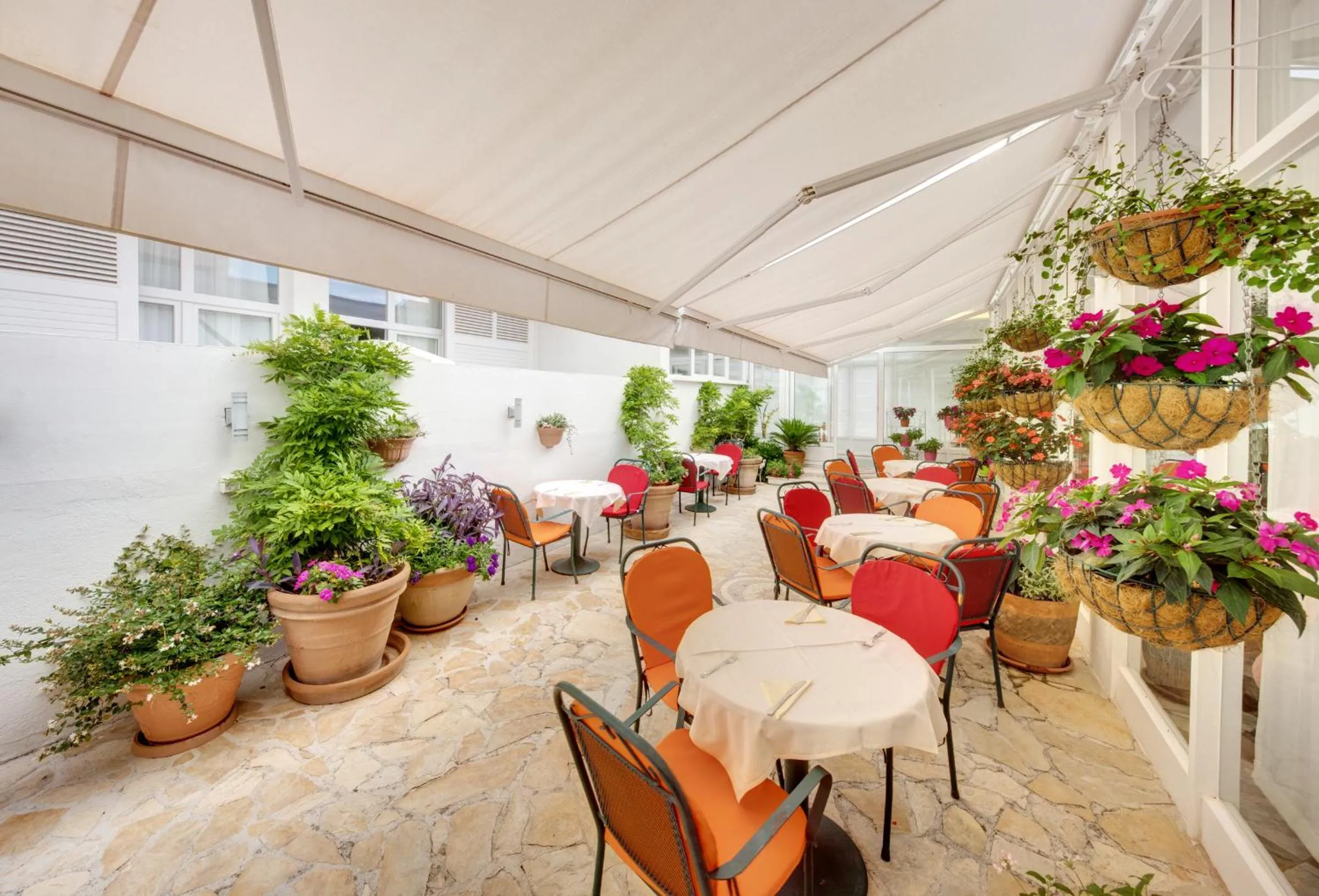 Restaurant/places to eat in Hotel Villa Adriatica - Adults Only