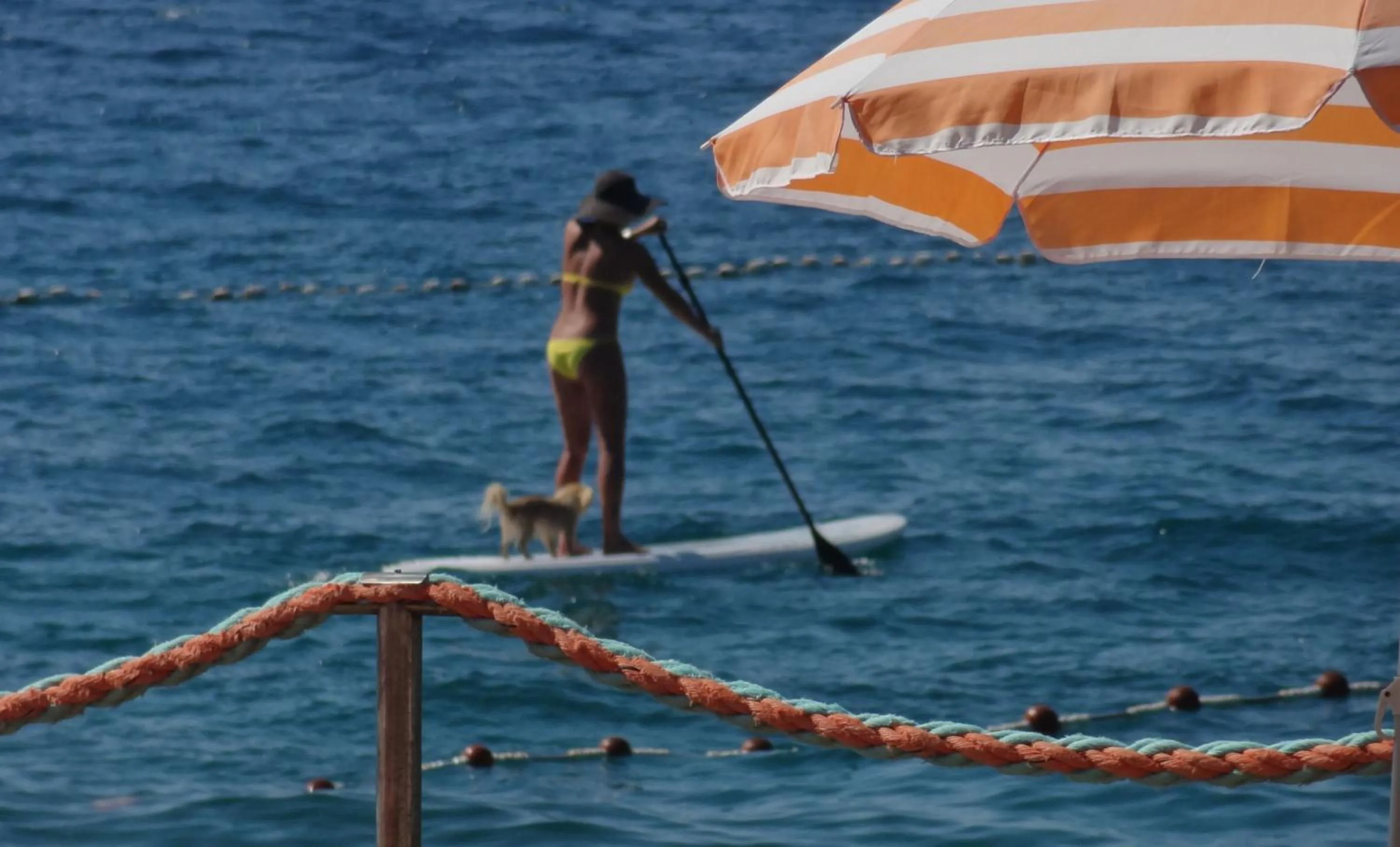 Spring in Hotel Villa Adriatica - Adults Only