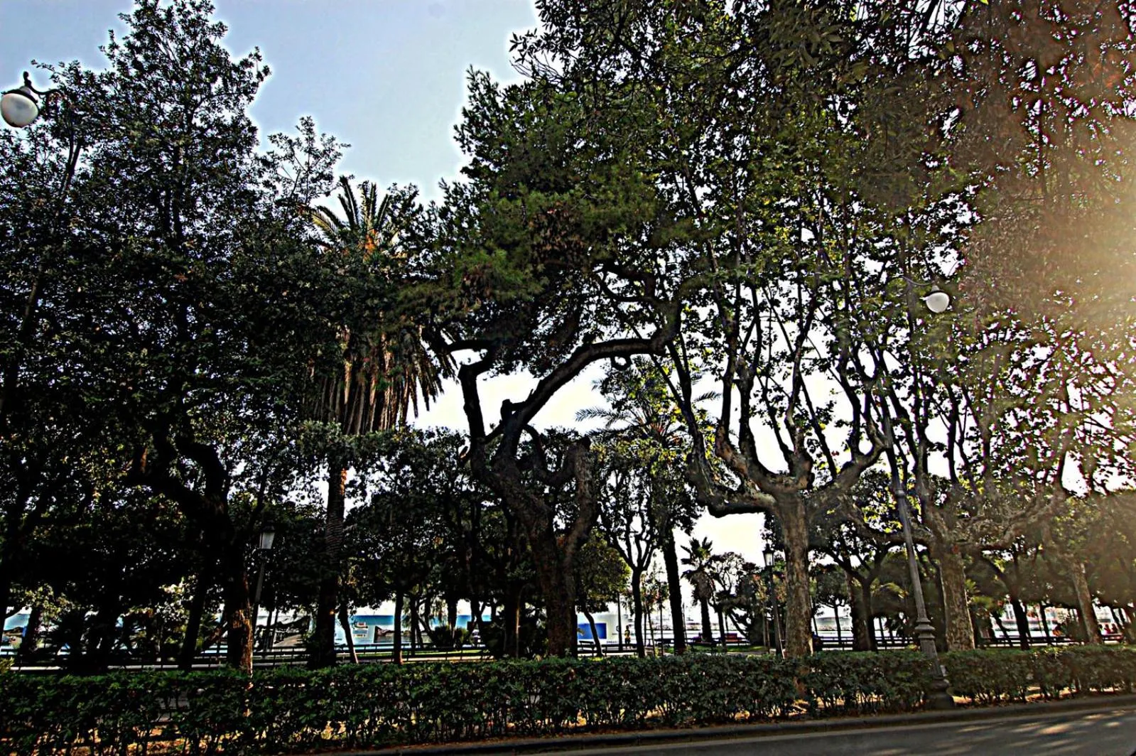 Nearby landmark in Serendipity