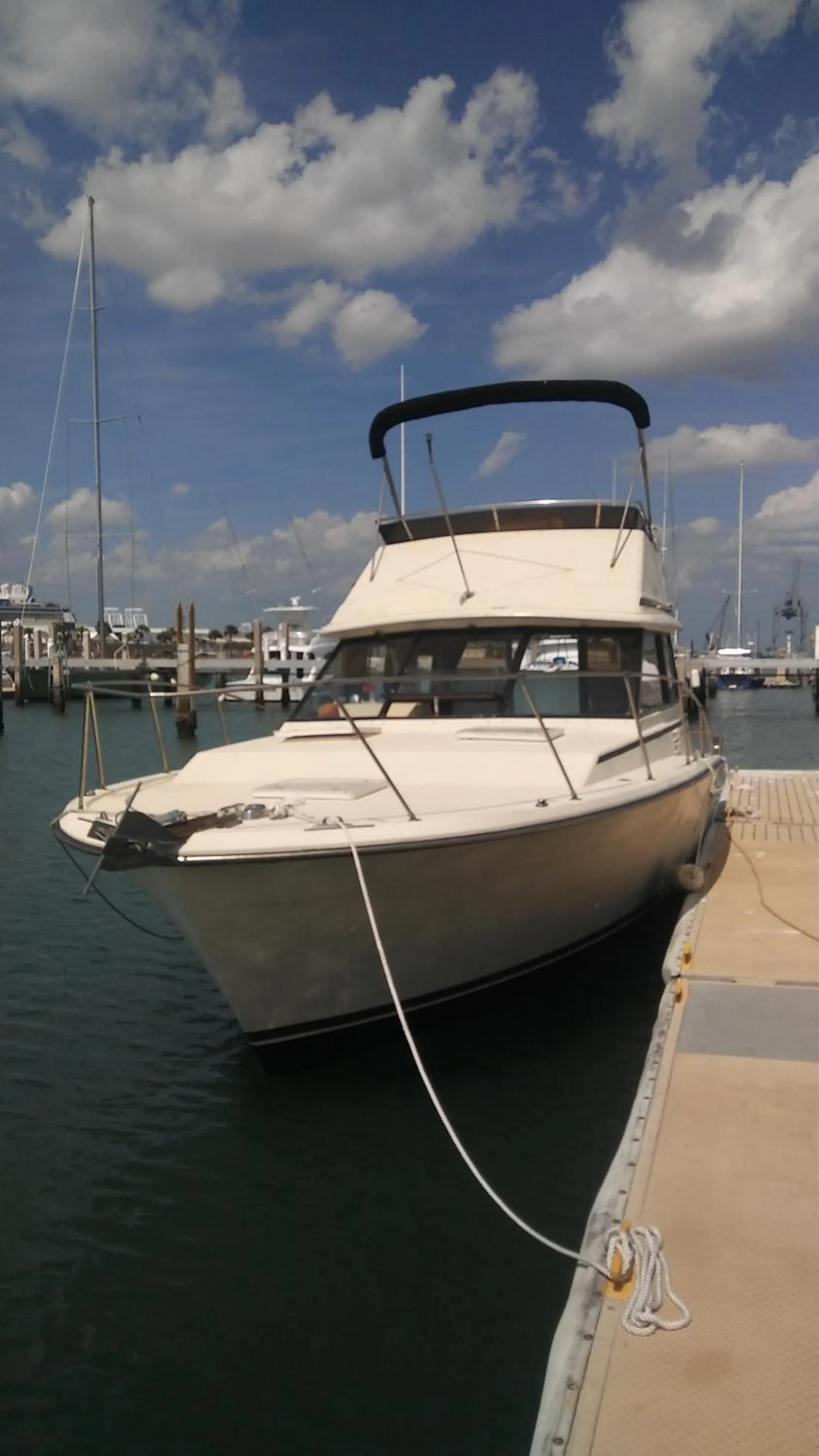 People in 1 Beige Cozy Bungalow or 1 White Cozy Efficiency Cottage in Titusville