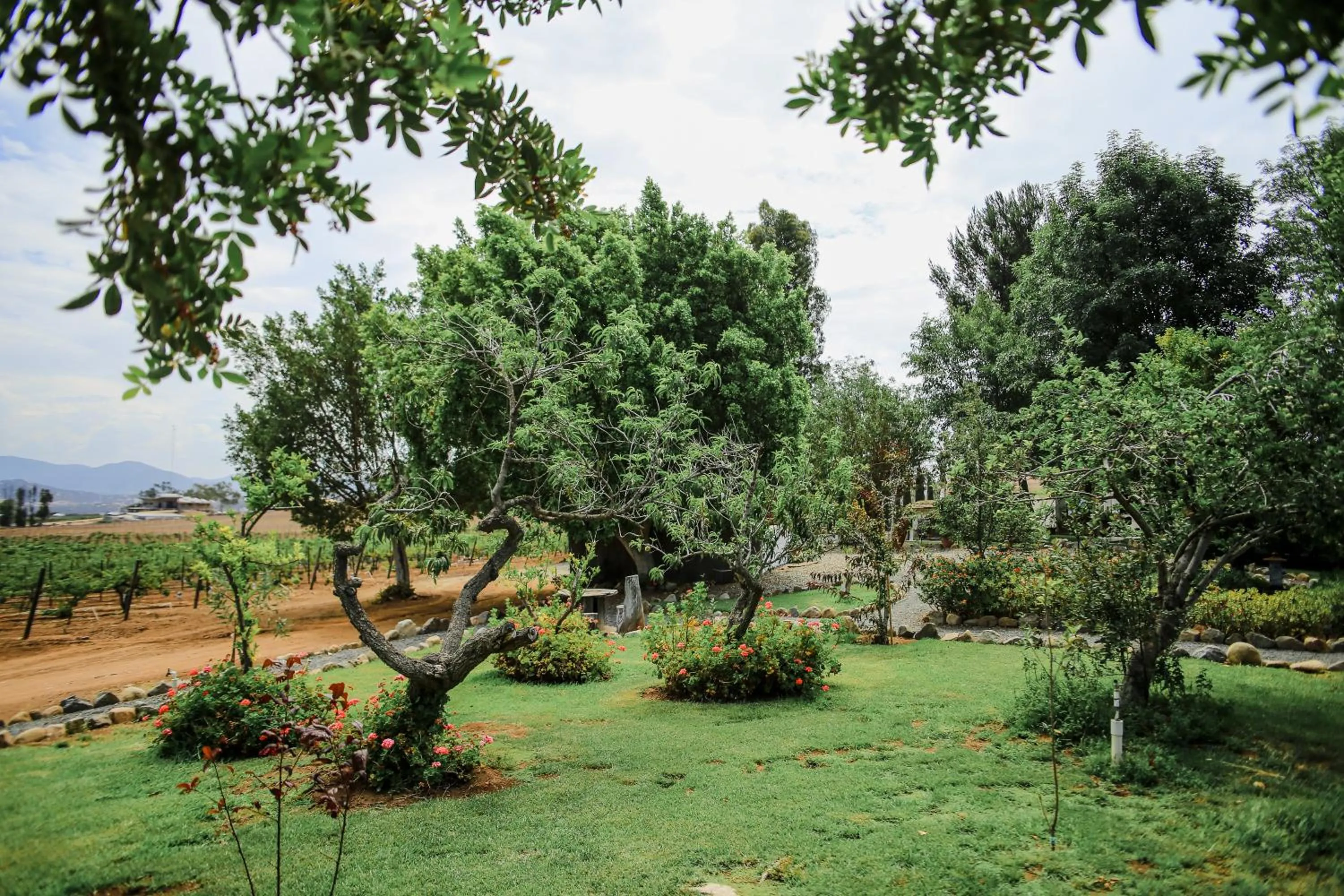 Garden view in Rancho el Parral