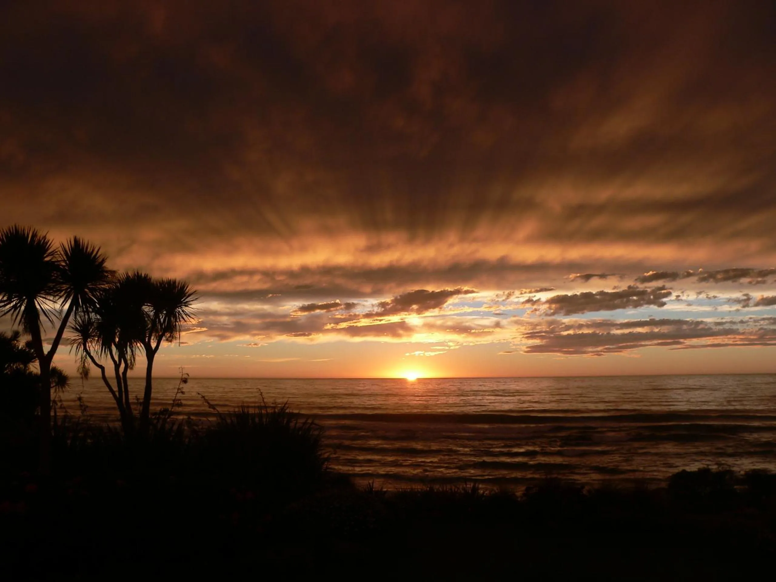 Natural landscape in Molyneux House