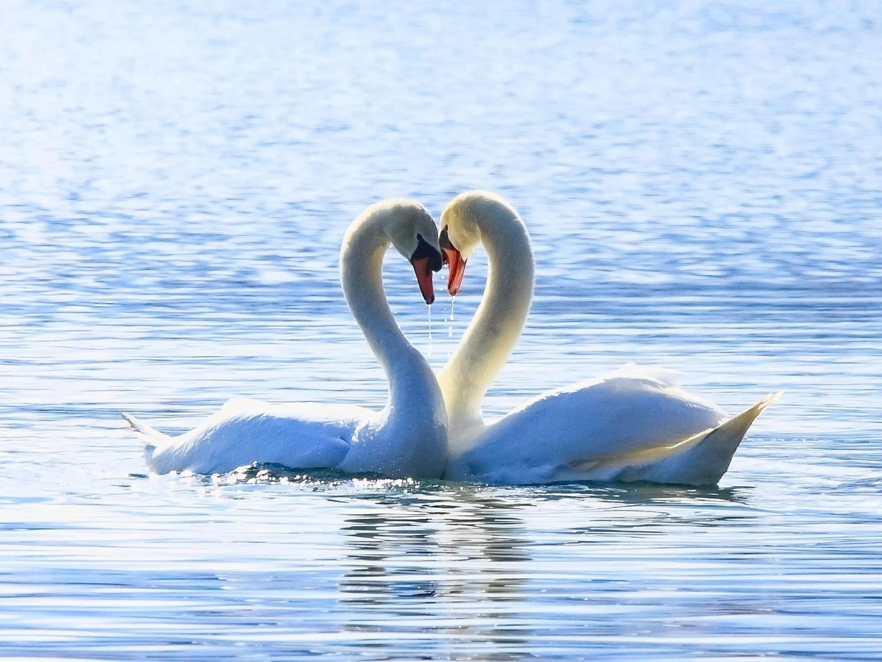 Nearby landmark in Yamanakako Pension Pause